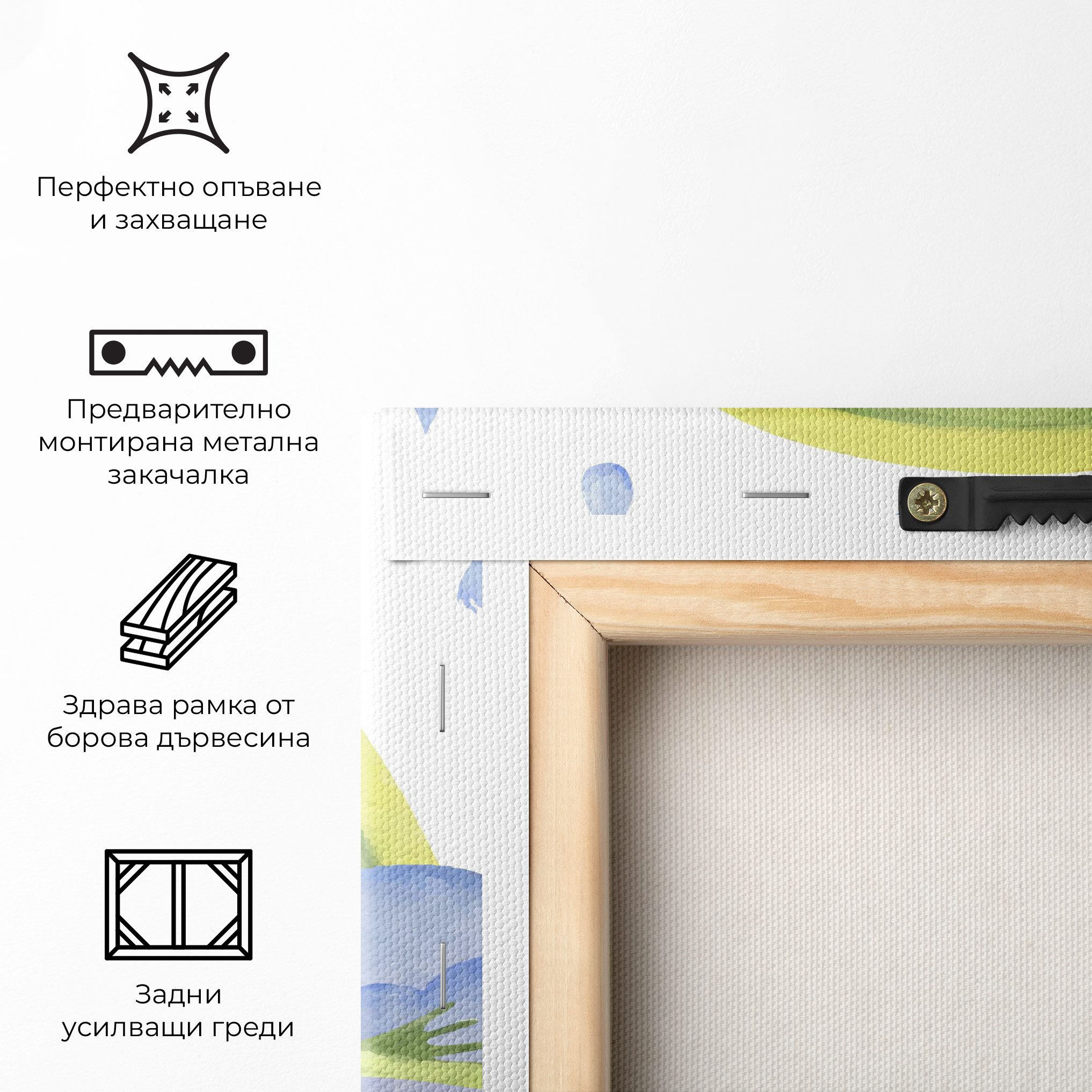 Rainbow Frog mockup 5