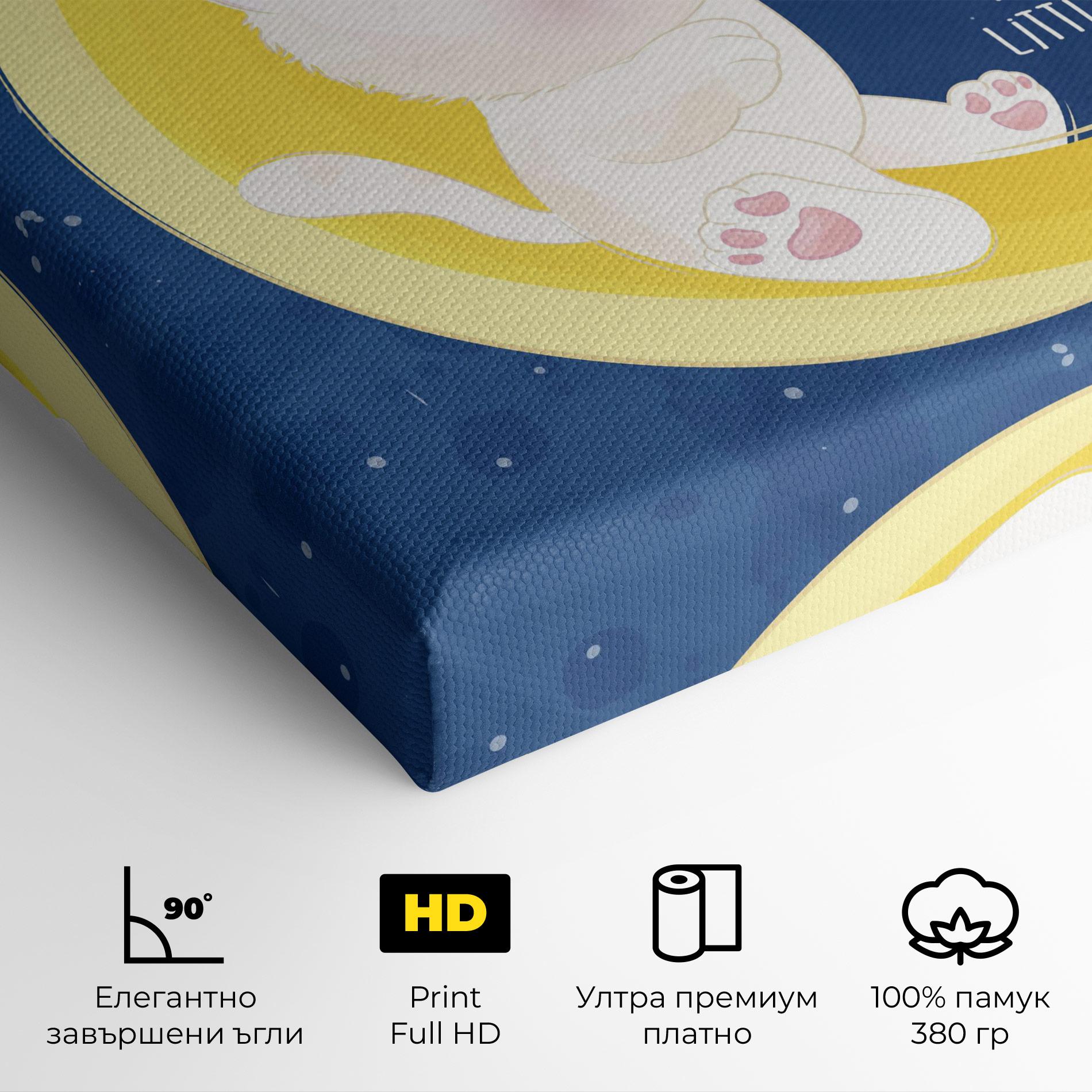 Картина на платно Cat Moon Star mockup 4