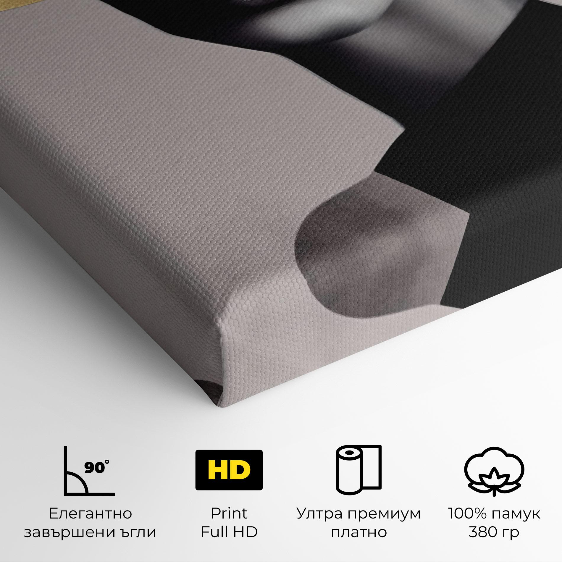 Картина на платно Grey Lips mockup 4