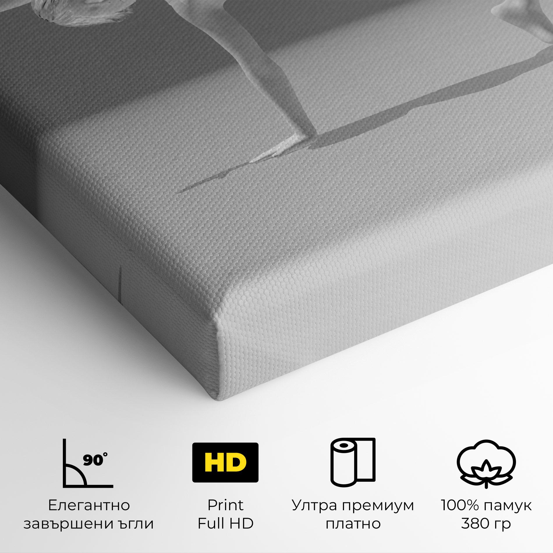 Картина на платно 3d Gymnastic Pose mockup 4