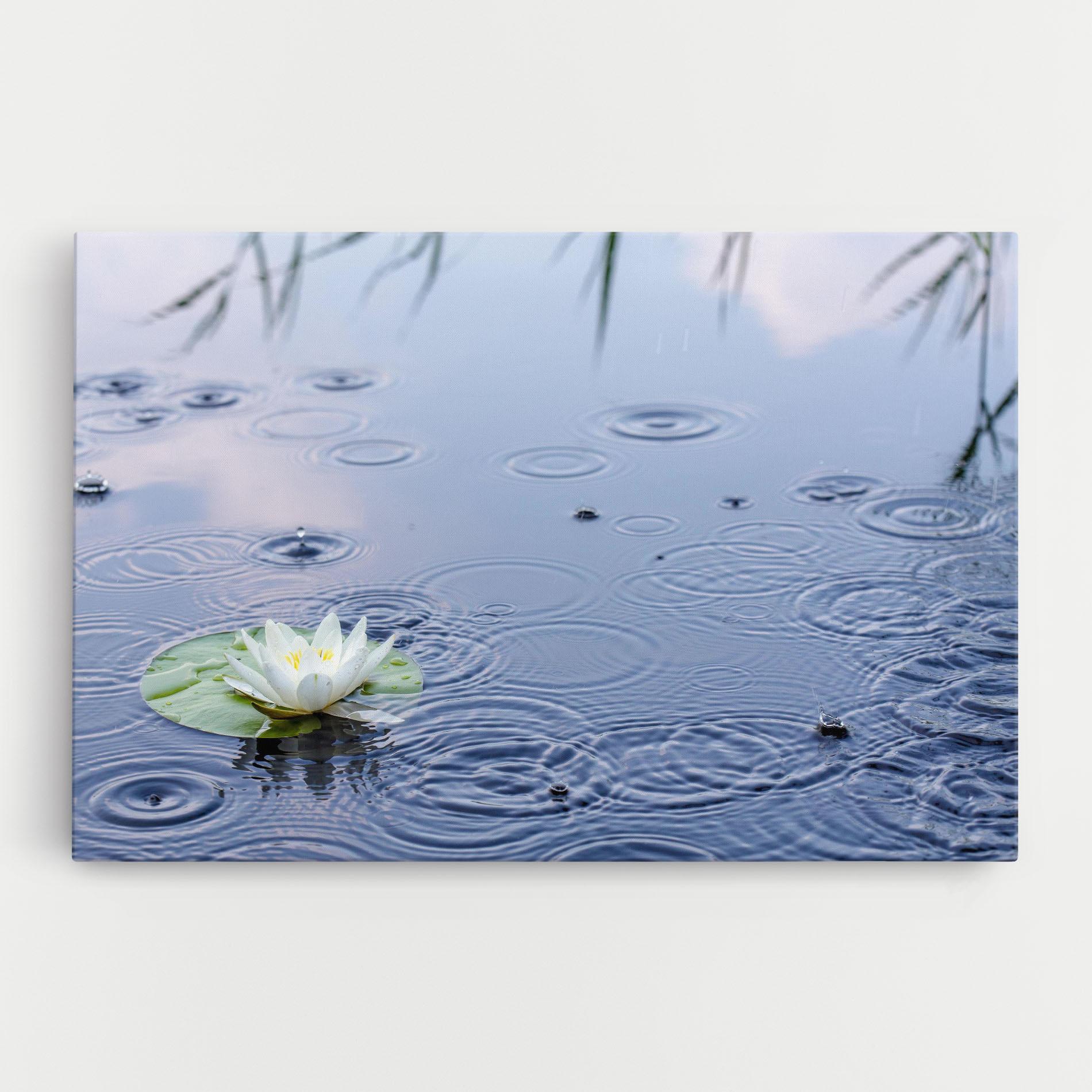 Картина на платно Clear Lake Rain mockup 0