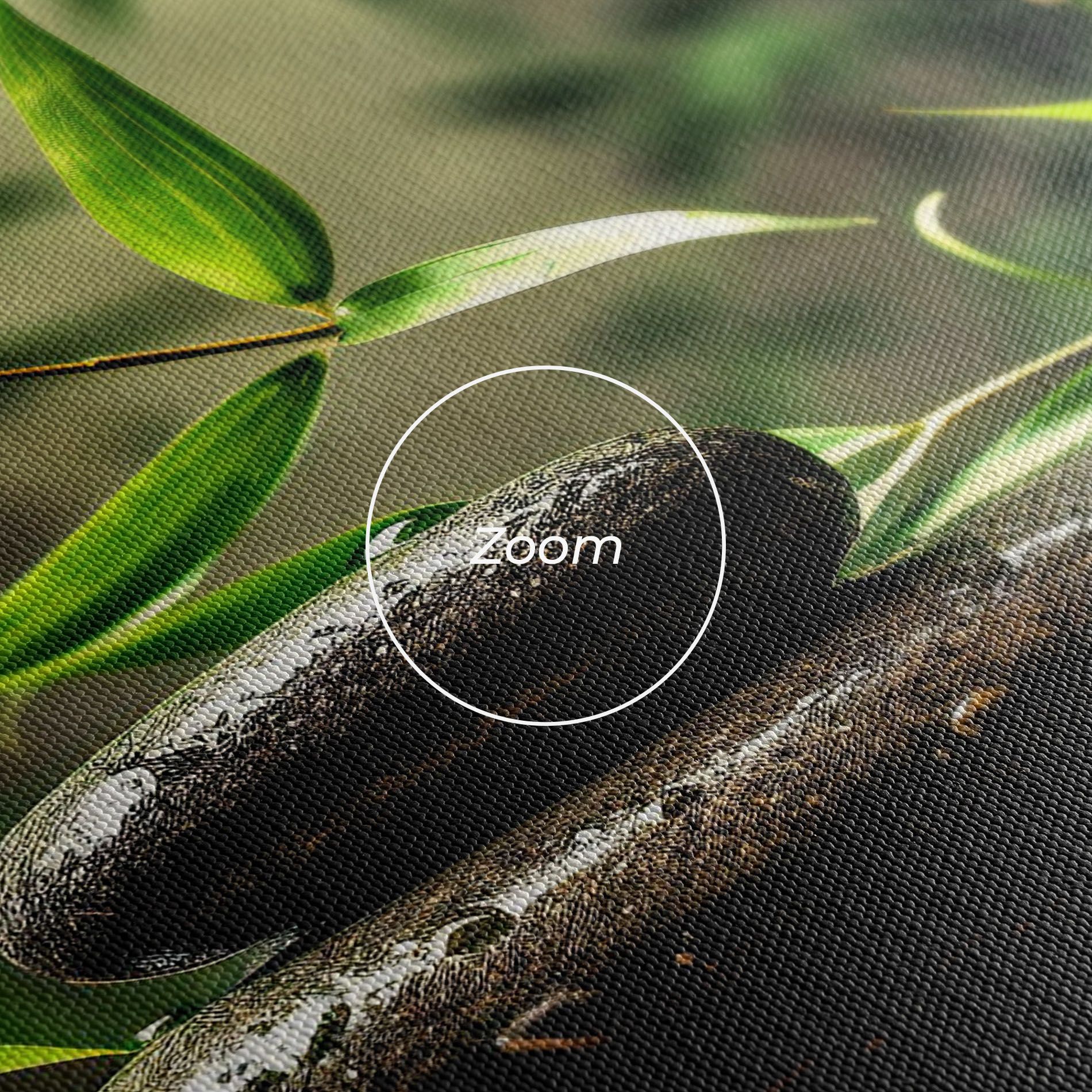 Bamboo Plant Water mockup 3