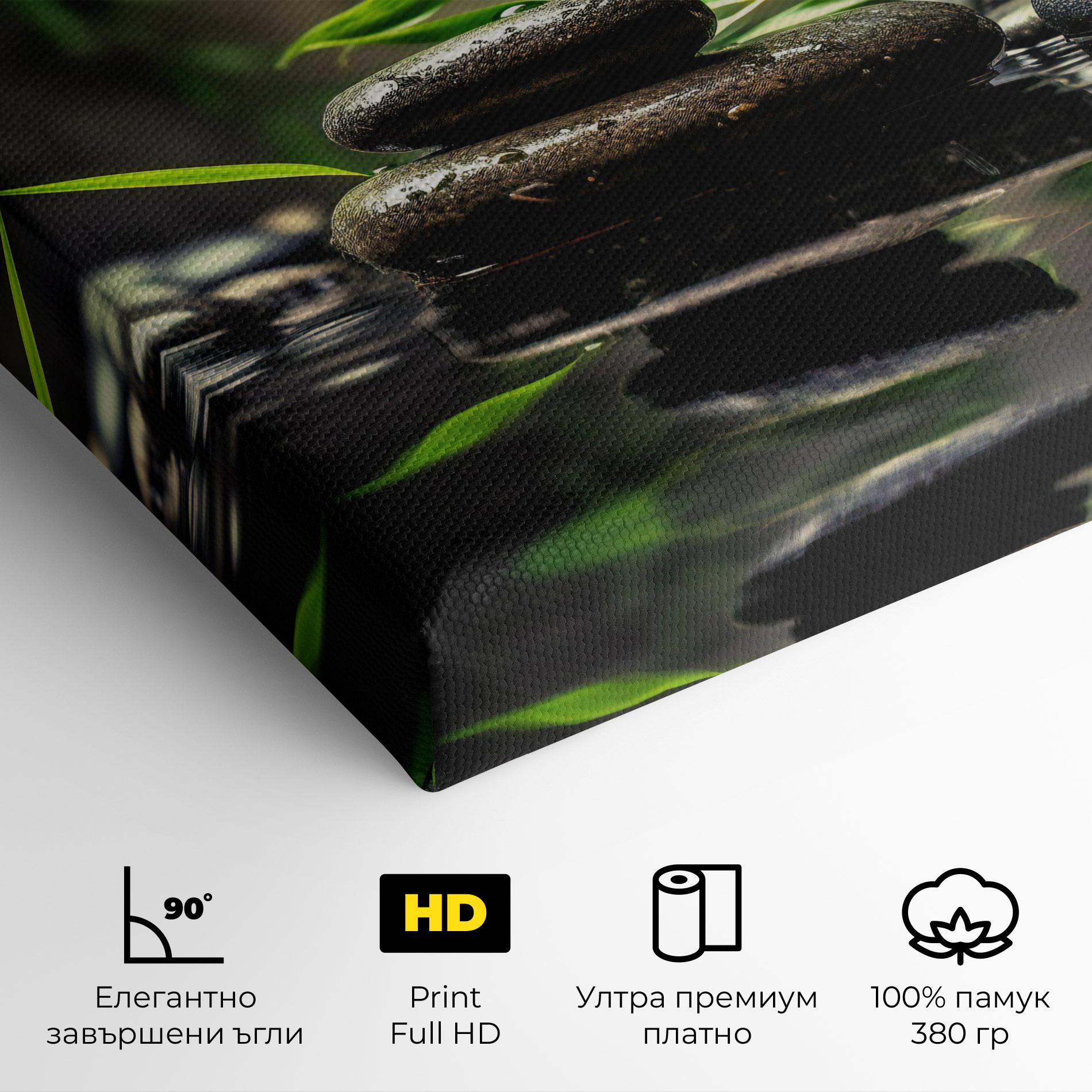 Картина на платно Bamboo Plant Water mockup 4