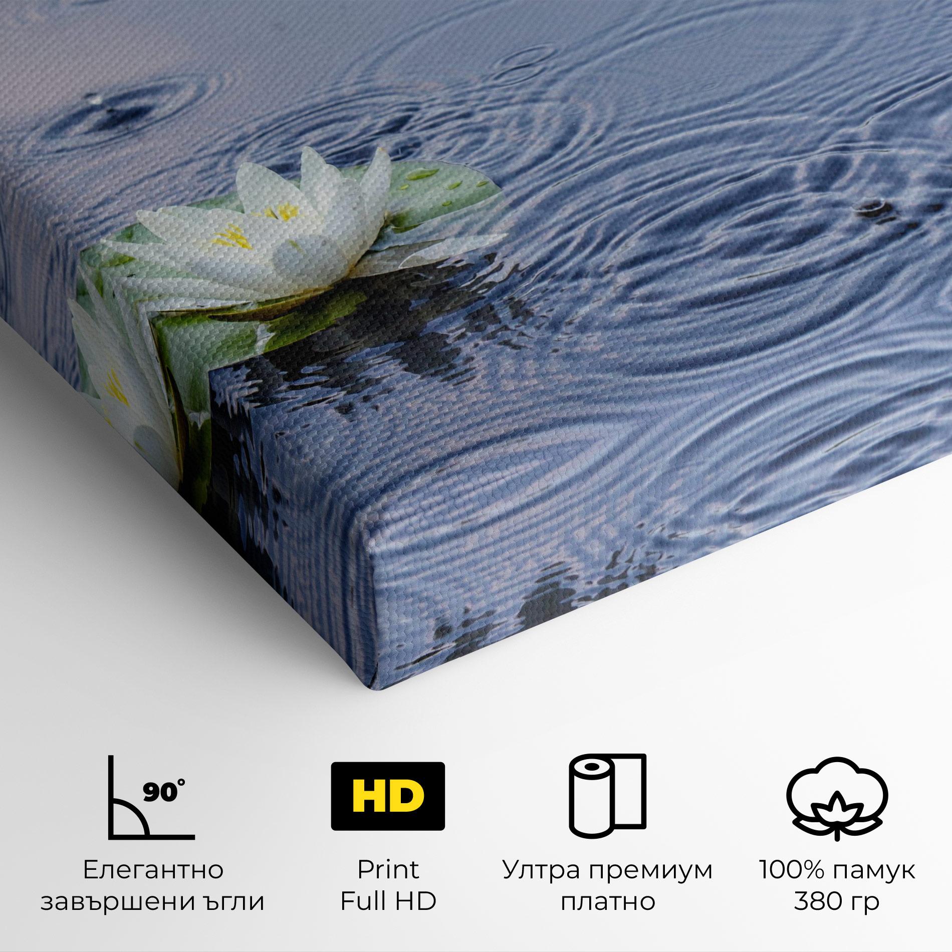 Картина на платно Clear Lake Rain mockup 4