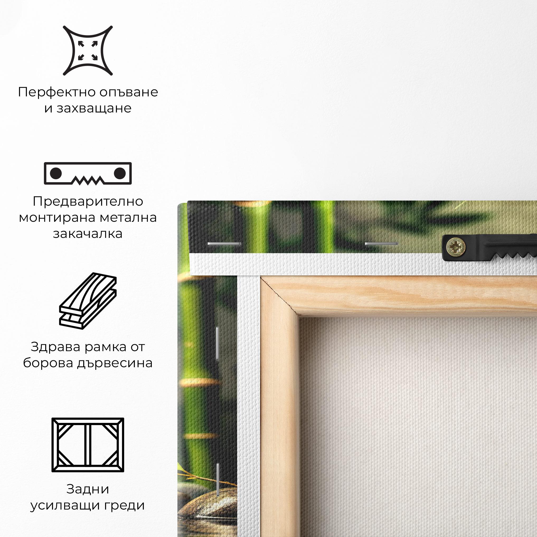 Картина на платно Bamboo Plant Water mockup 5