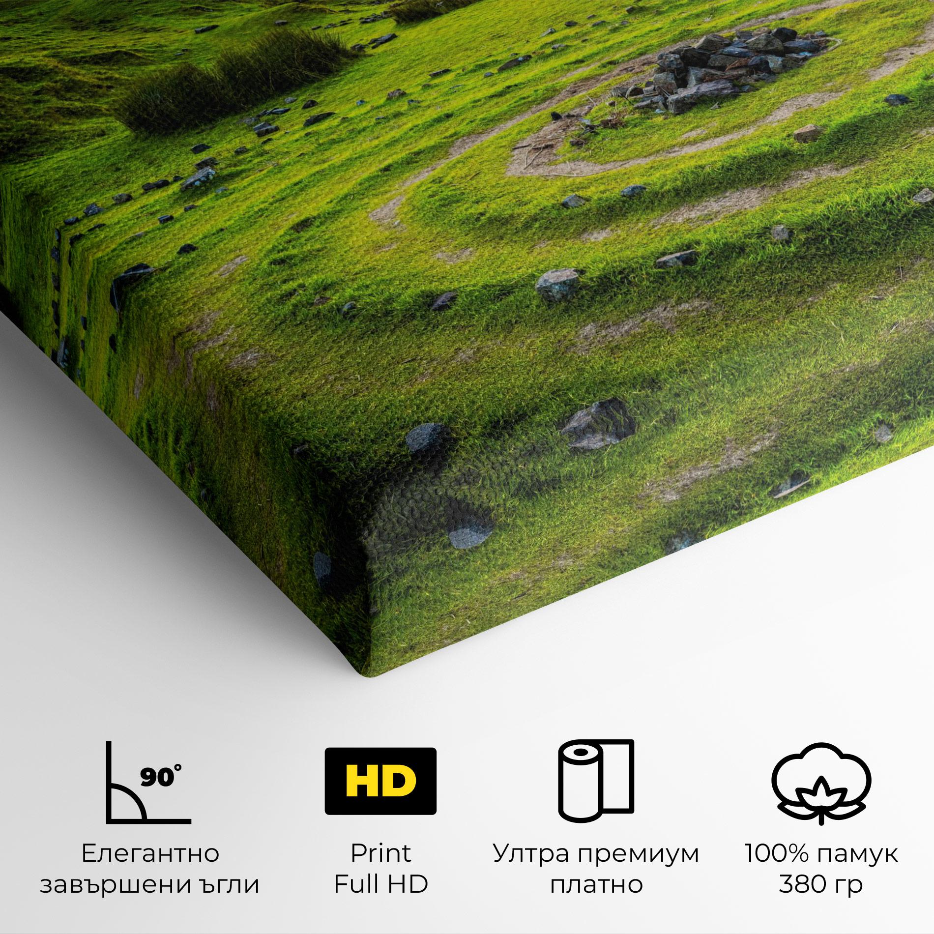 Картина на платно Green Circle Nature mockup 4