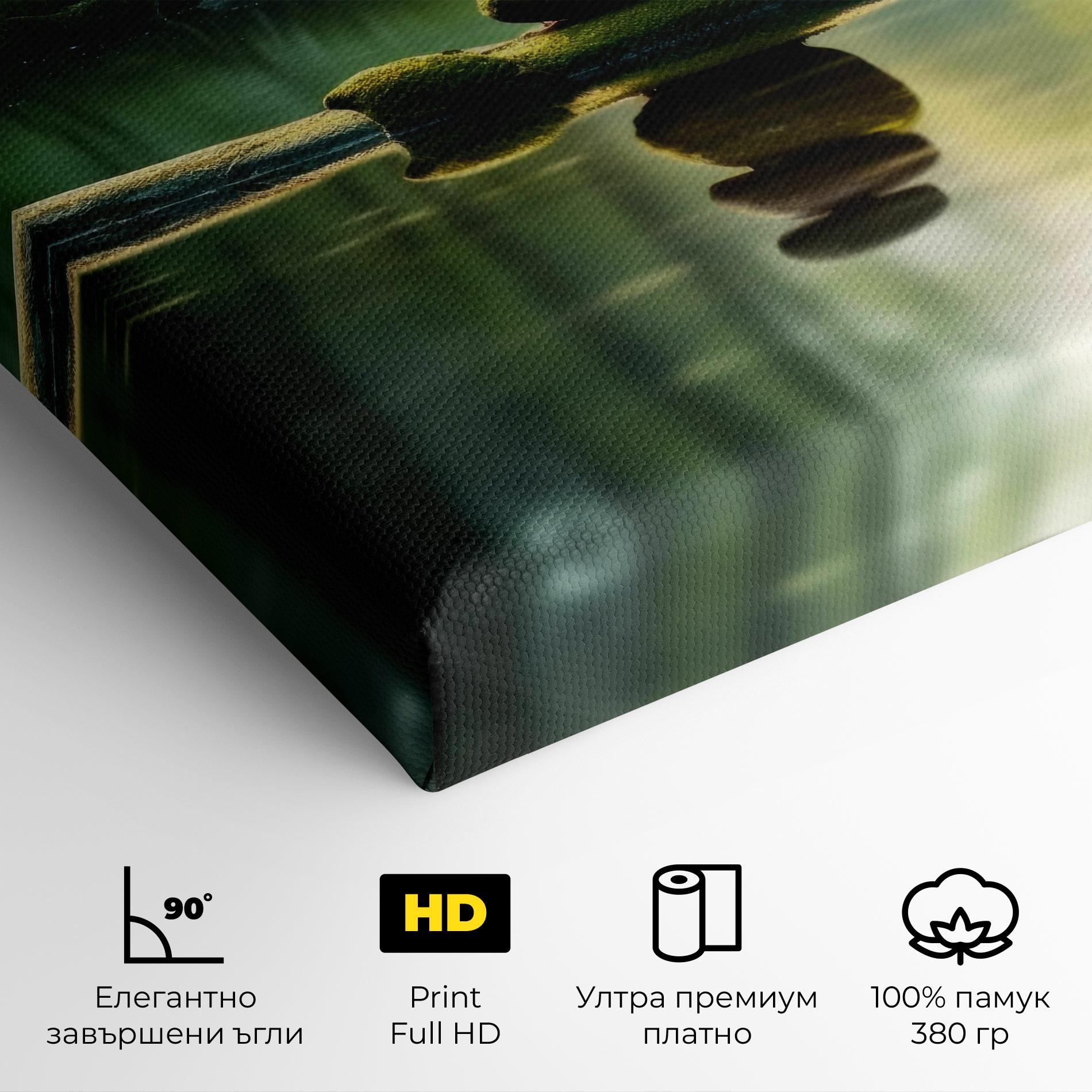 Картина на платно Spiritual Stones mockup 4
