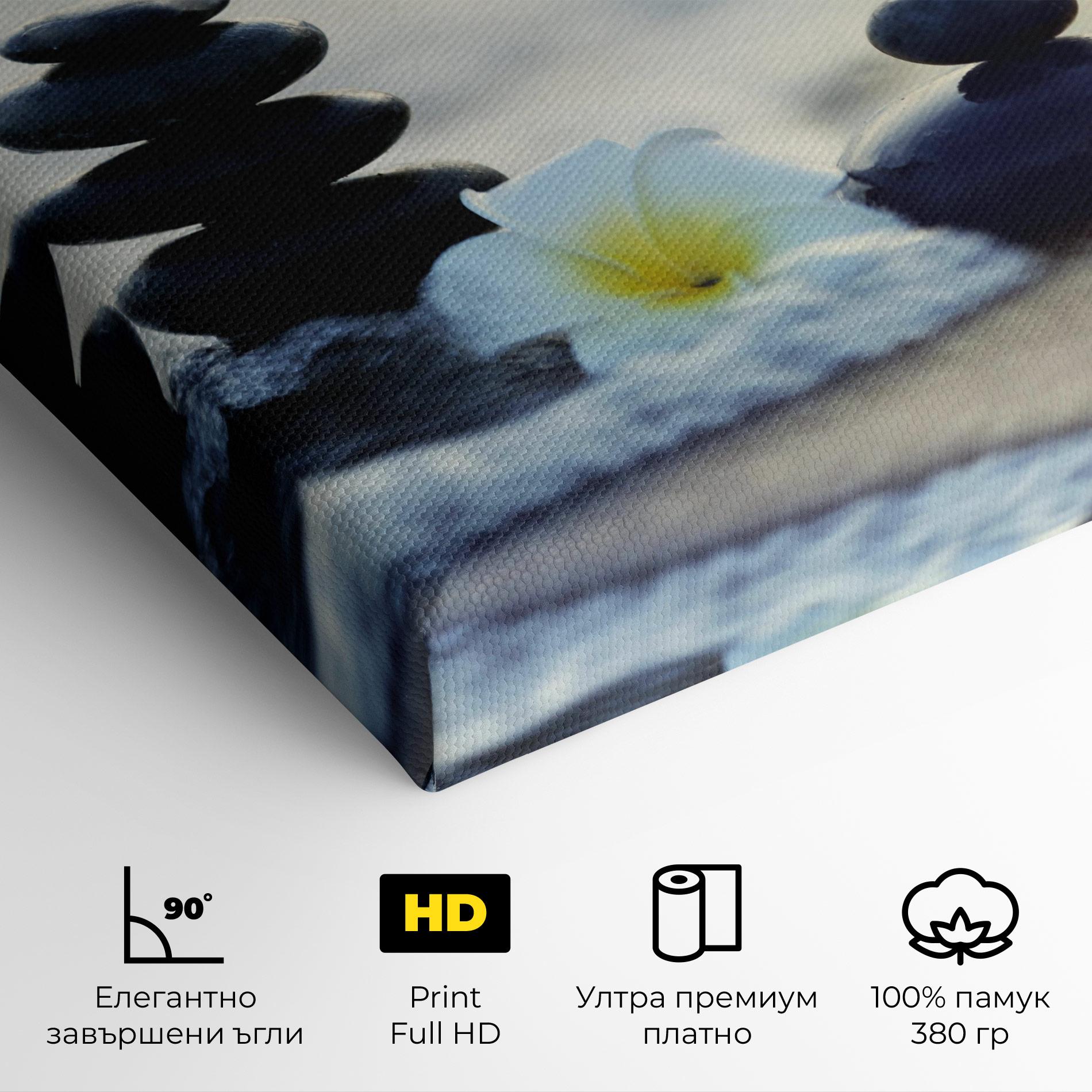 Картина на платно Flower Sea Flower mockup 4