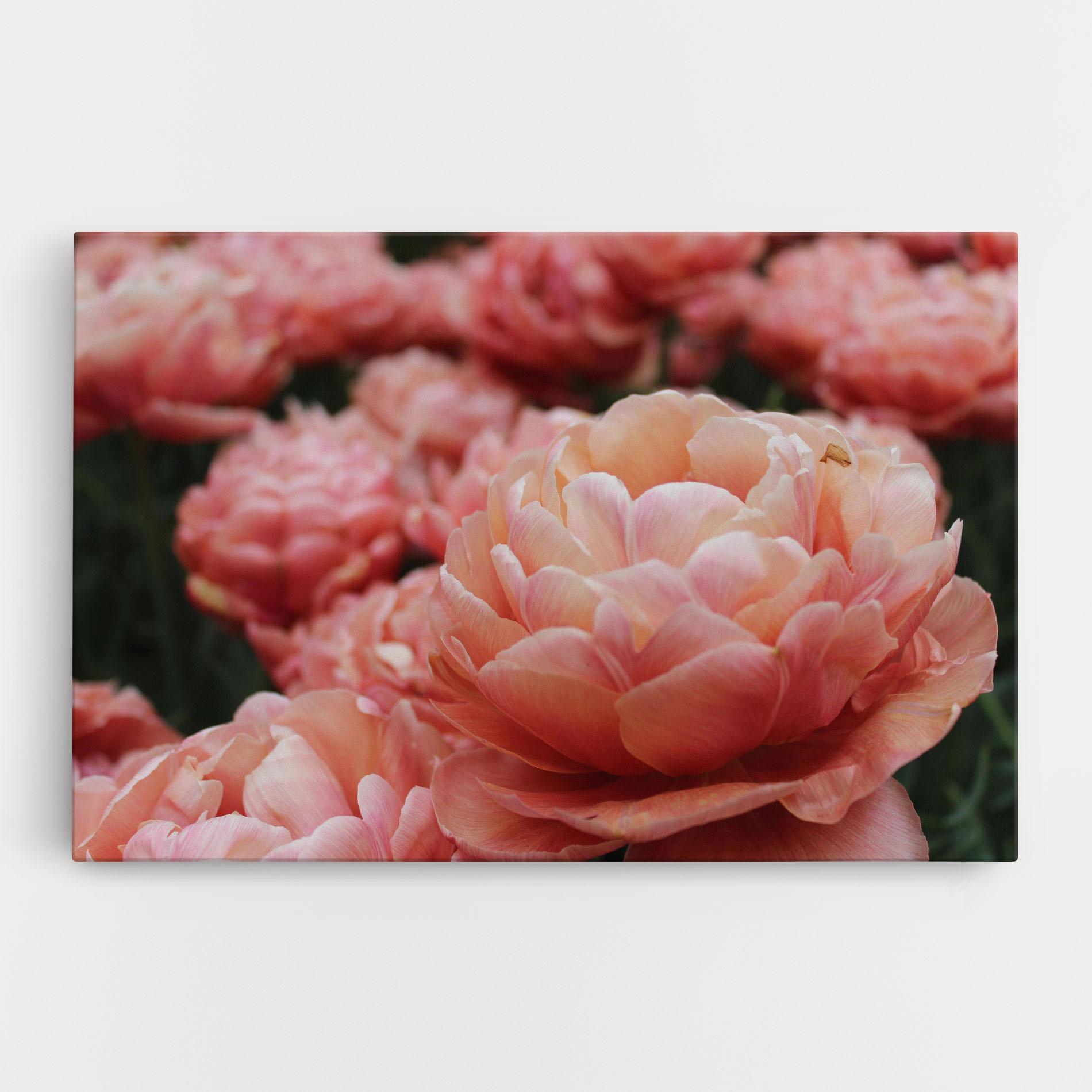 Картина на платно Light Orange Peony mockup 0