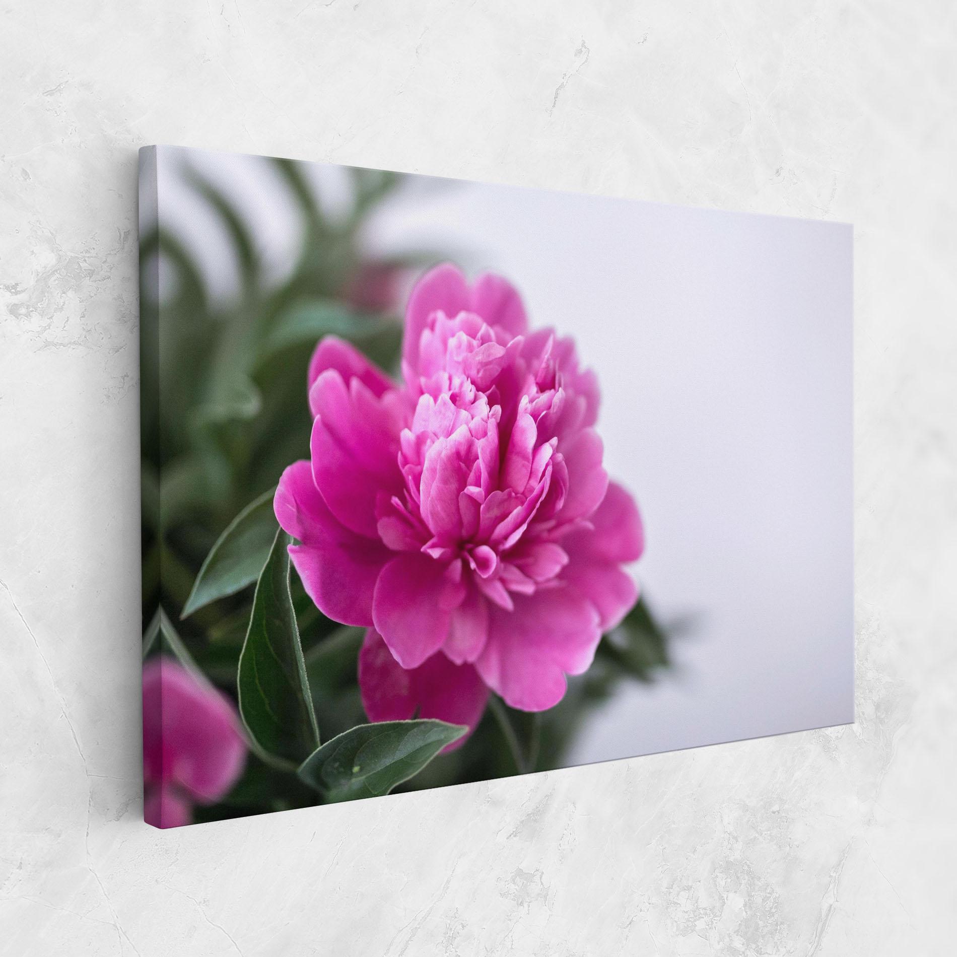 Картина на платно Dark Pink Peony mockup 1