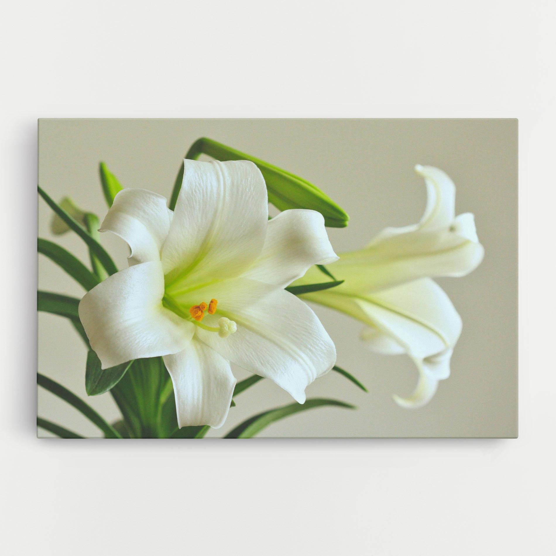 Картина на платно Green Lily mockup 0
