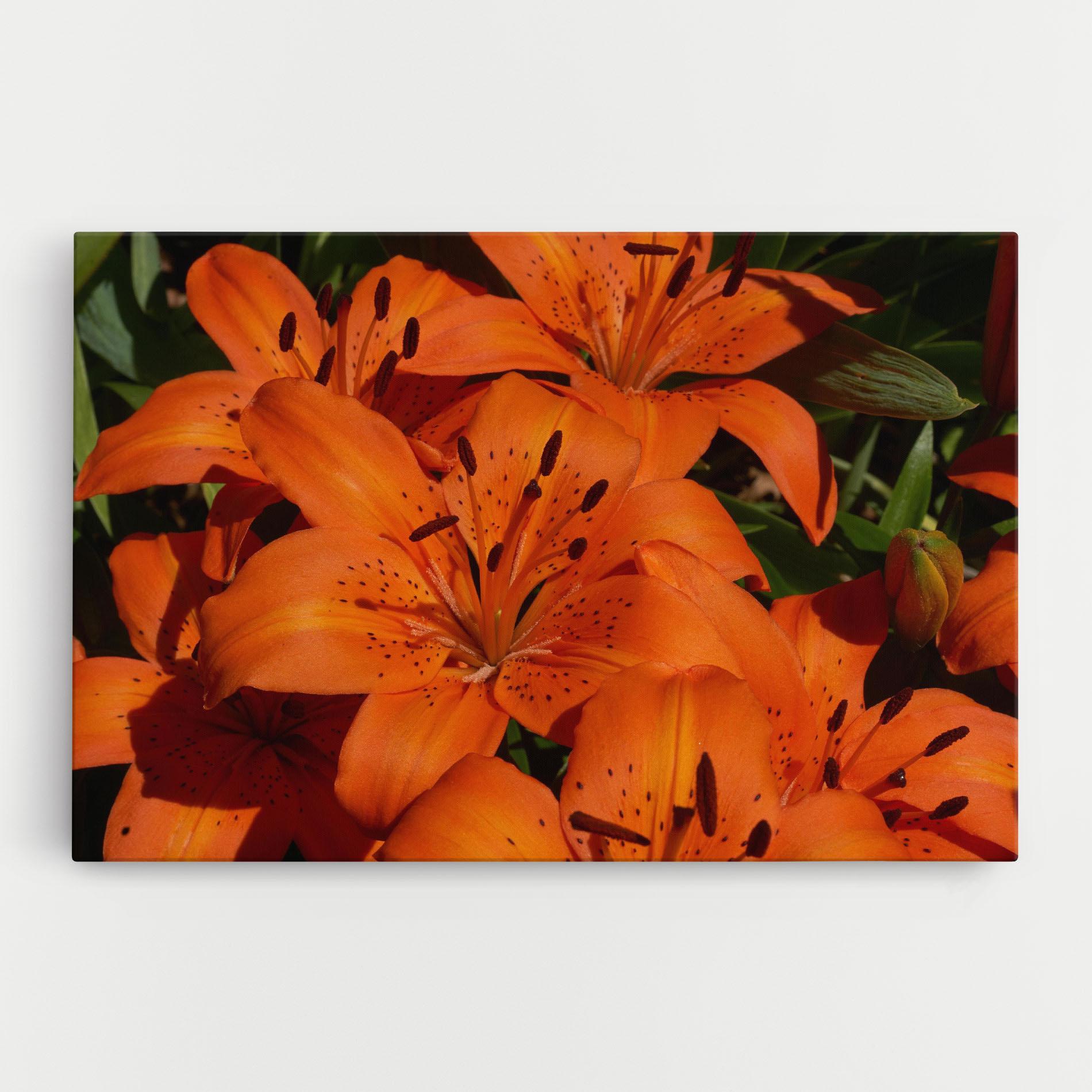 Картина на платно Orange Lily In The Sun mockup 0