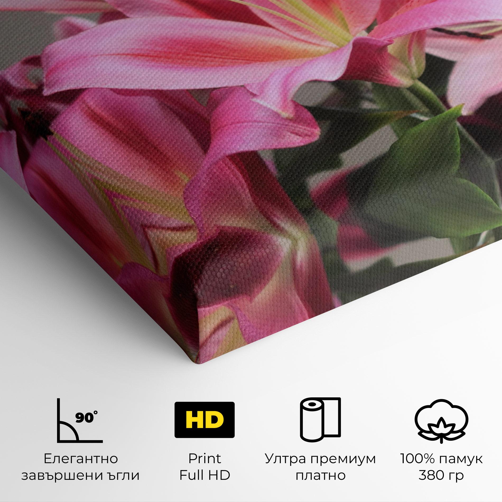 Картина на платно Light Pink Lily View mockup 4