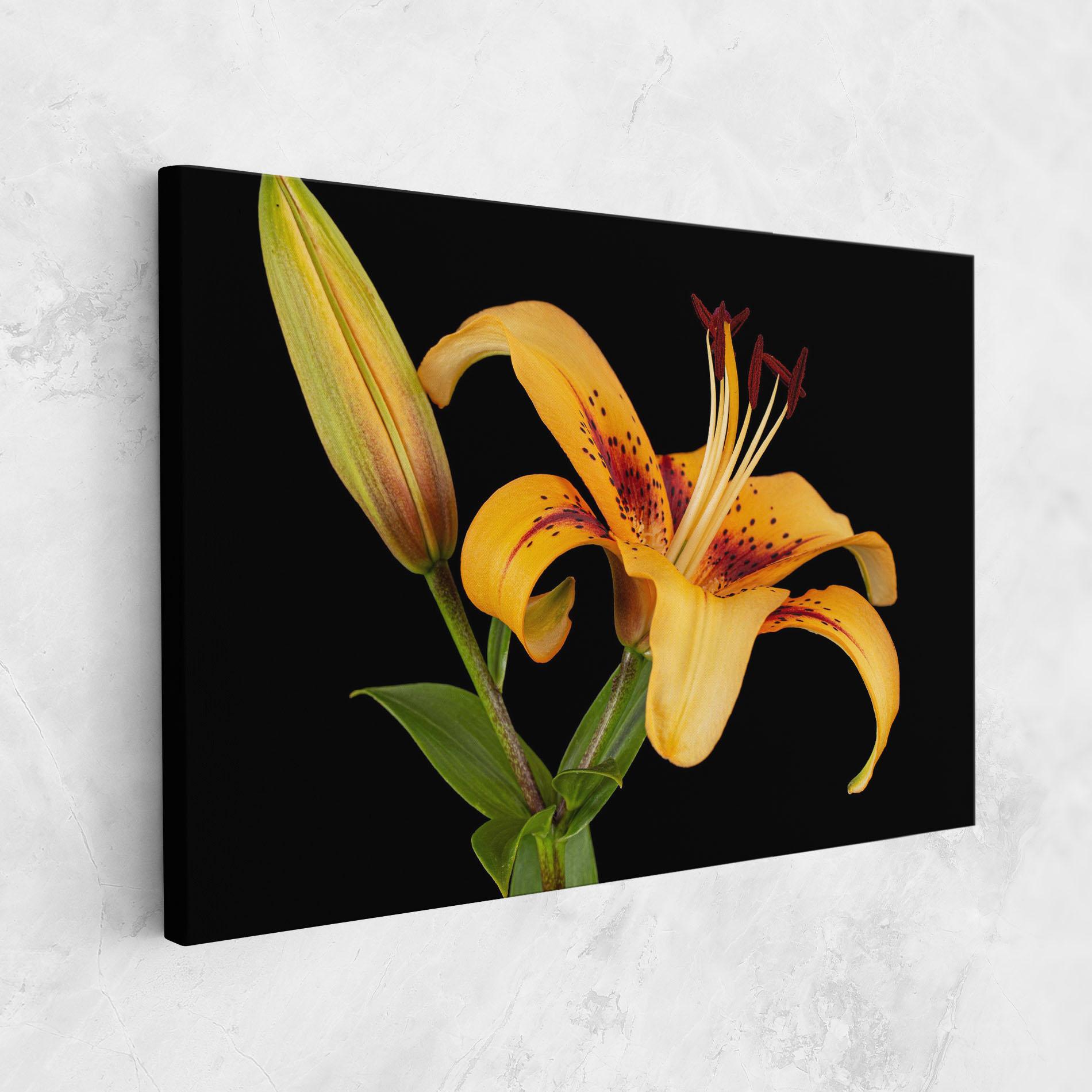 Картина на платно Beautiful Yellow Lily mockup 1