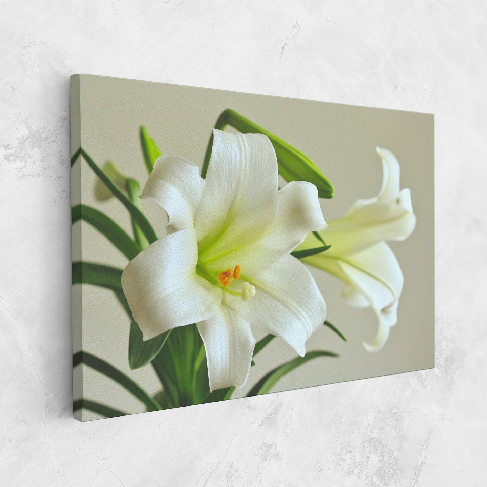 Картина на платно Green Lily mockup 1