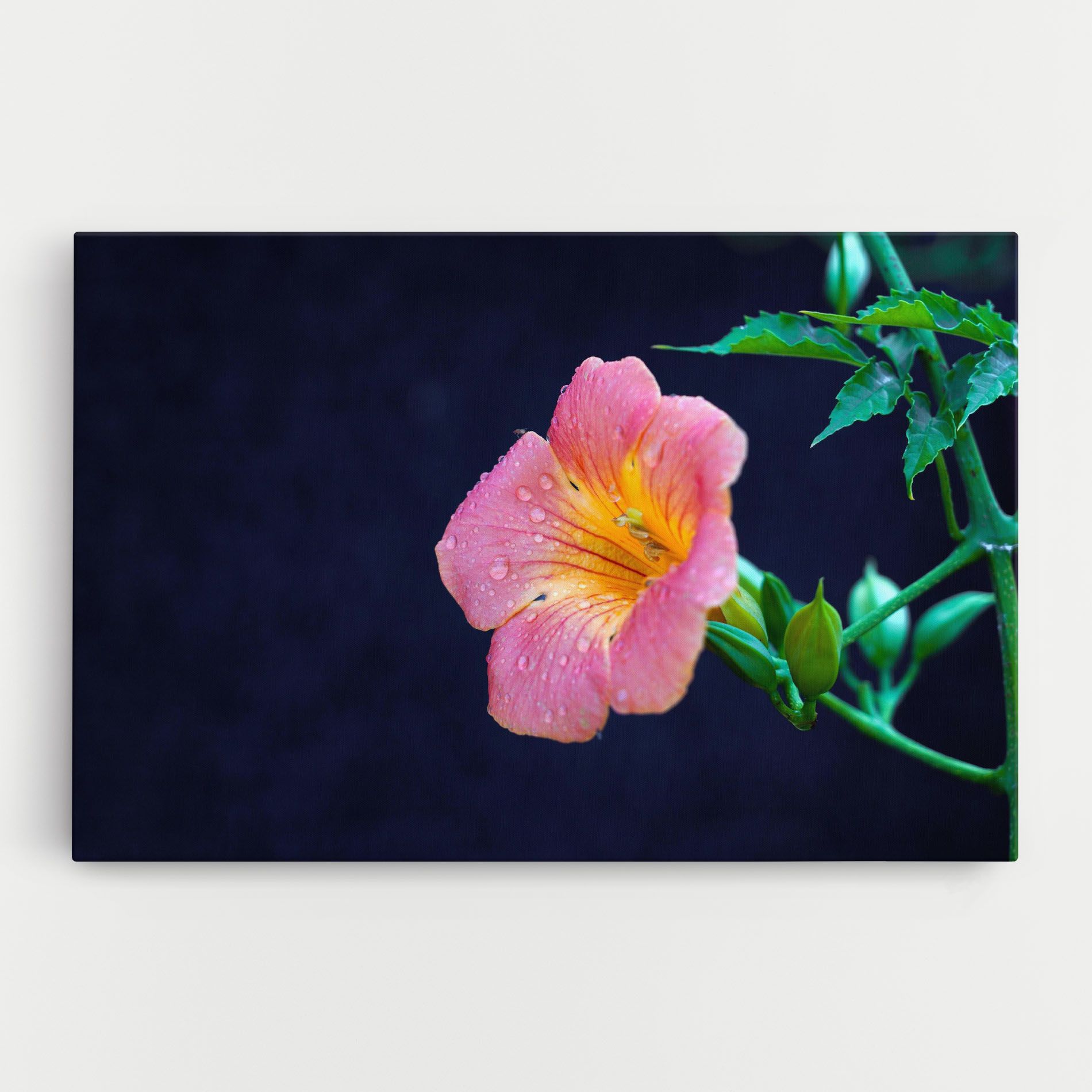 Exotic Pink Plant mockup 0