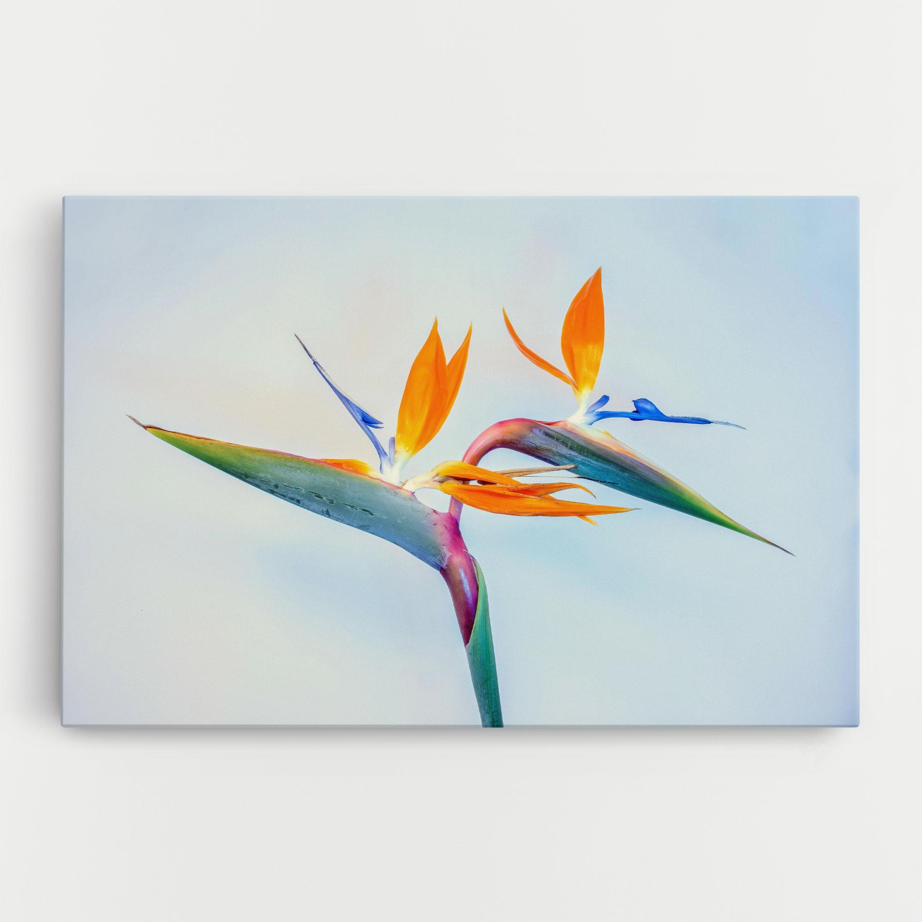 Картина на платно Green Orange Exotic mockup 0