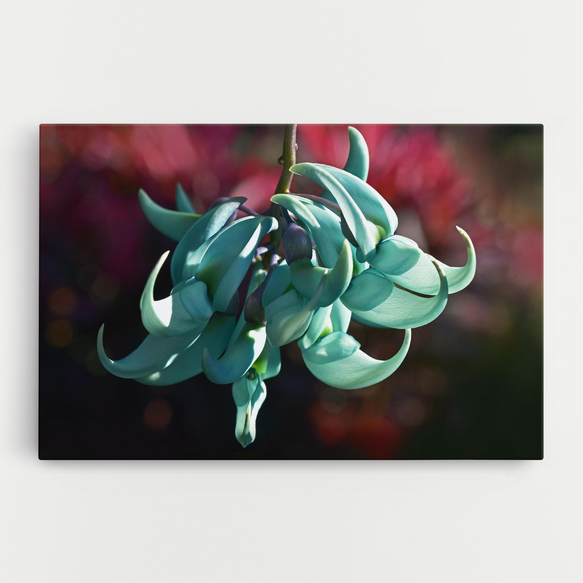 Pastel Green Plant mockup 0