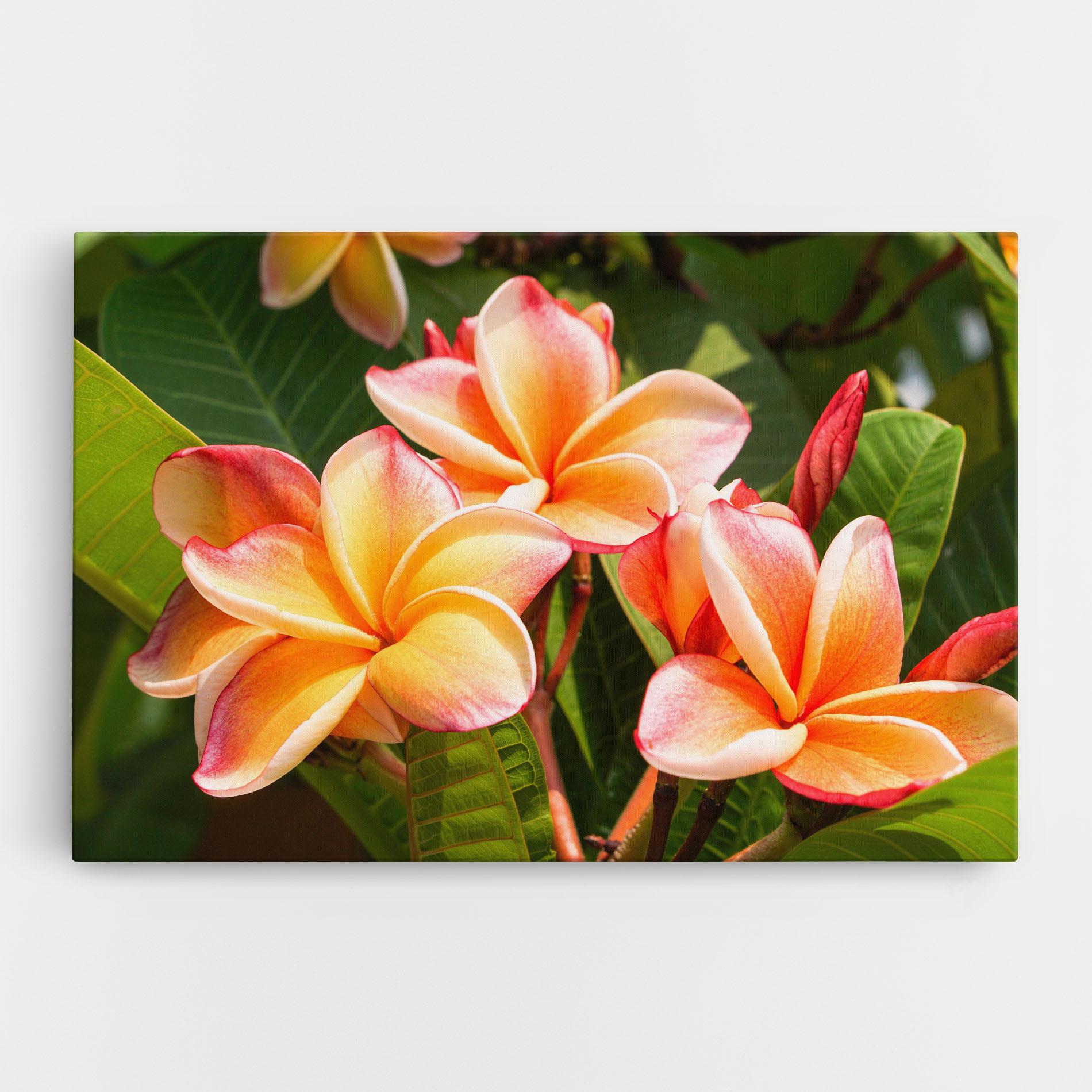 Картина на платно Pretty Plumeria mockup 0