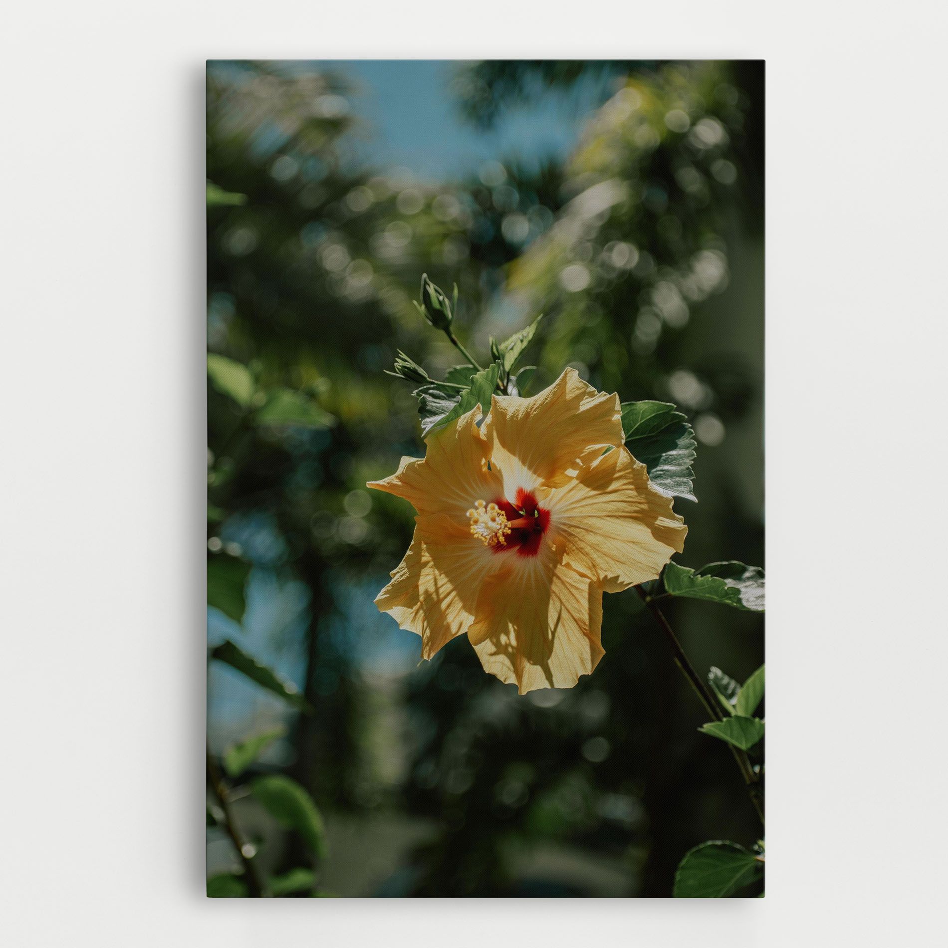 Yellow Pretty Exotic mockup 0