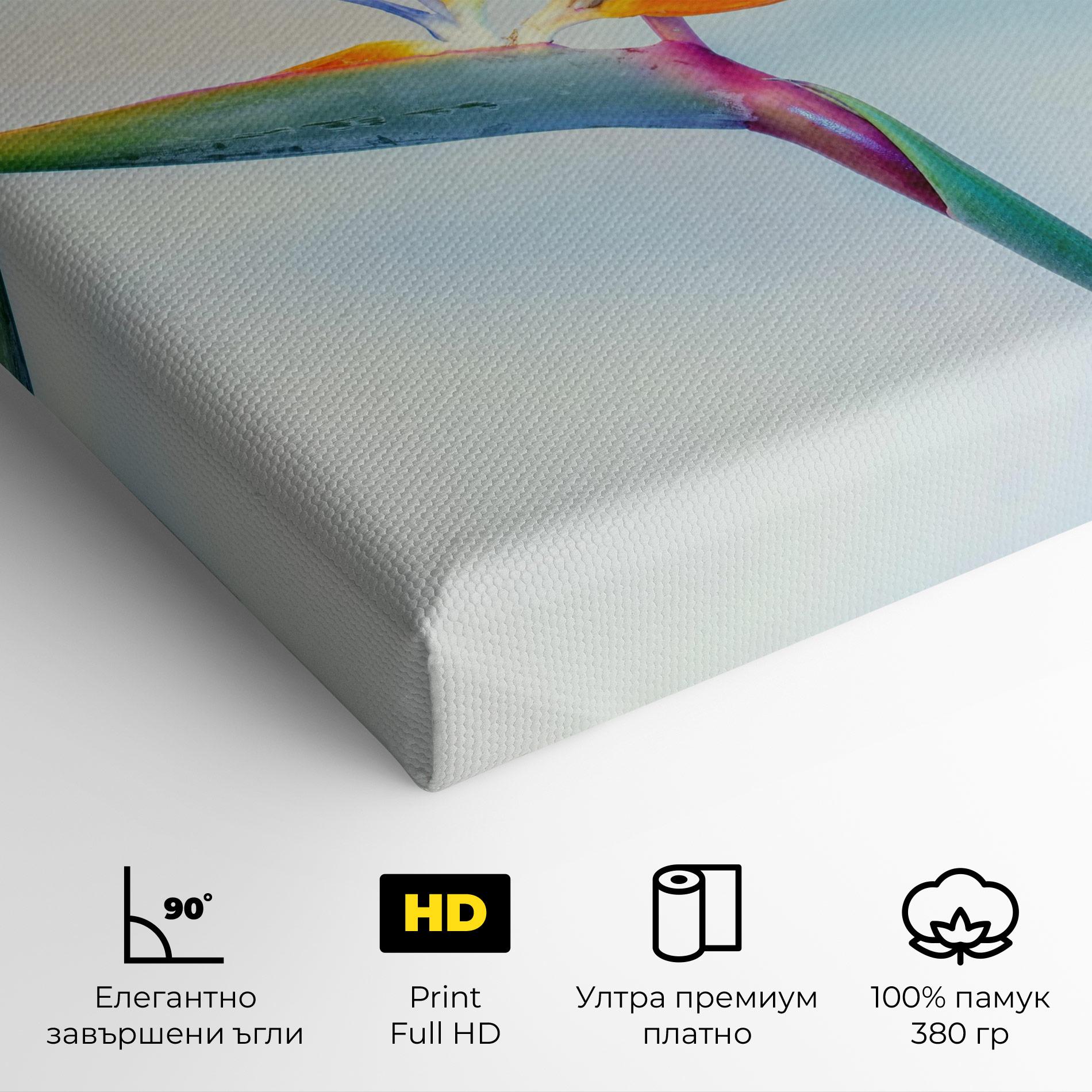 Картина на платно Green Orange Exotic mockup 4