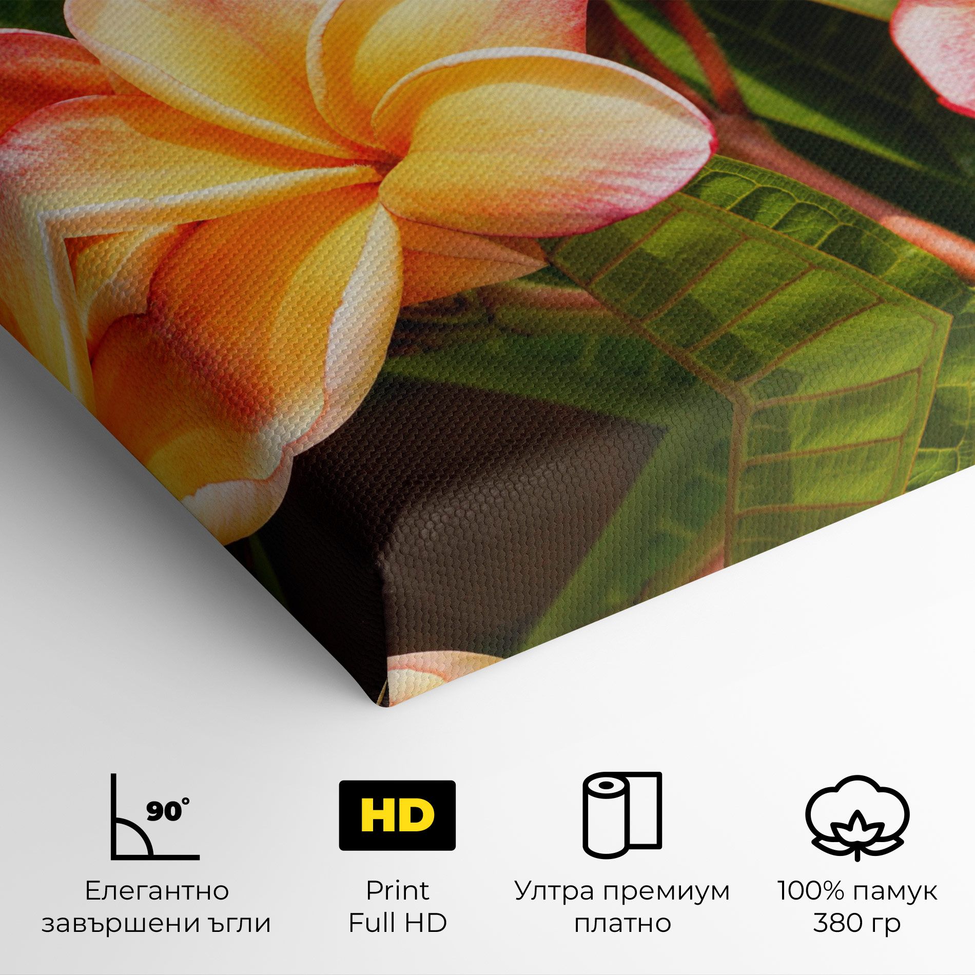 Pretty Plumeria mockup 4