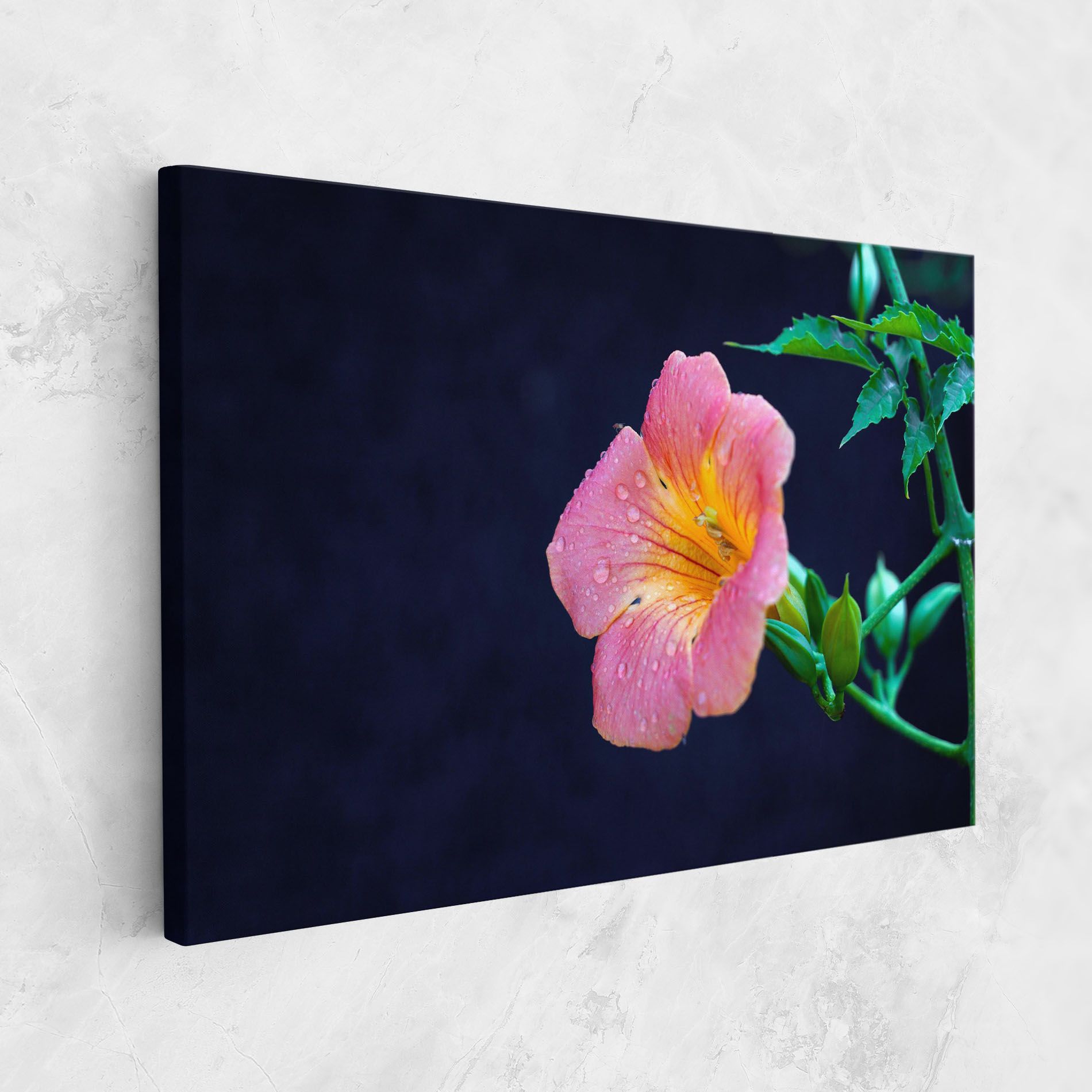 Exotic Pink Plant mockup 1