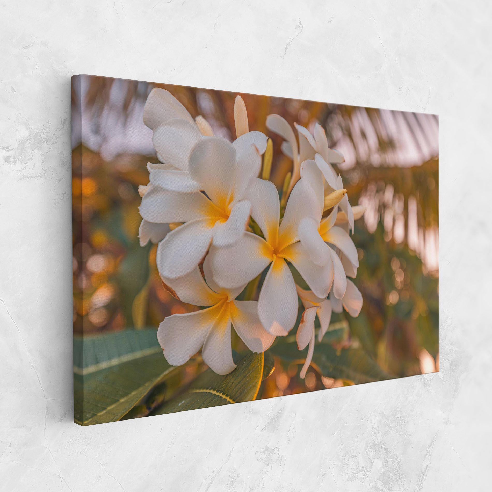 White Plumeria mockup 1