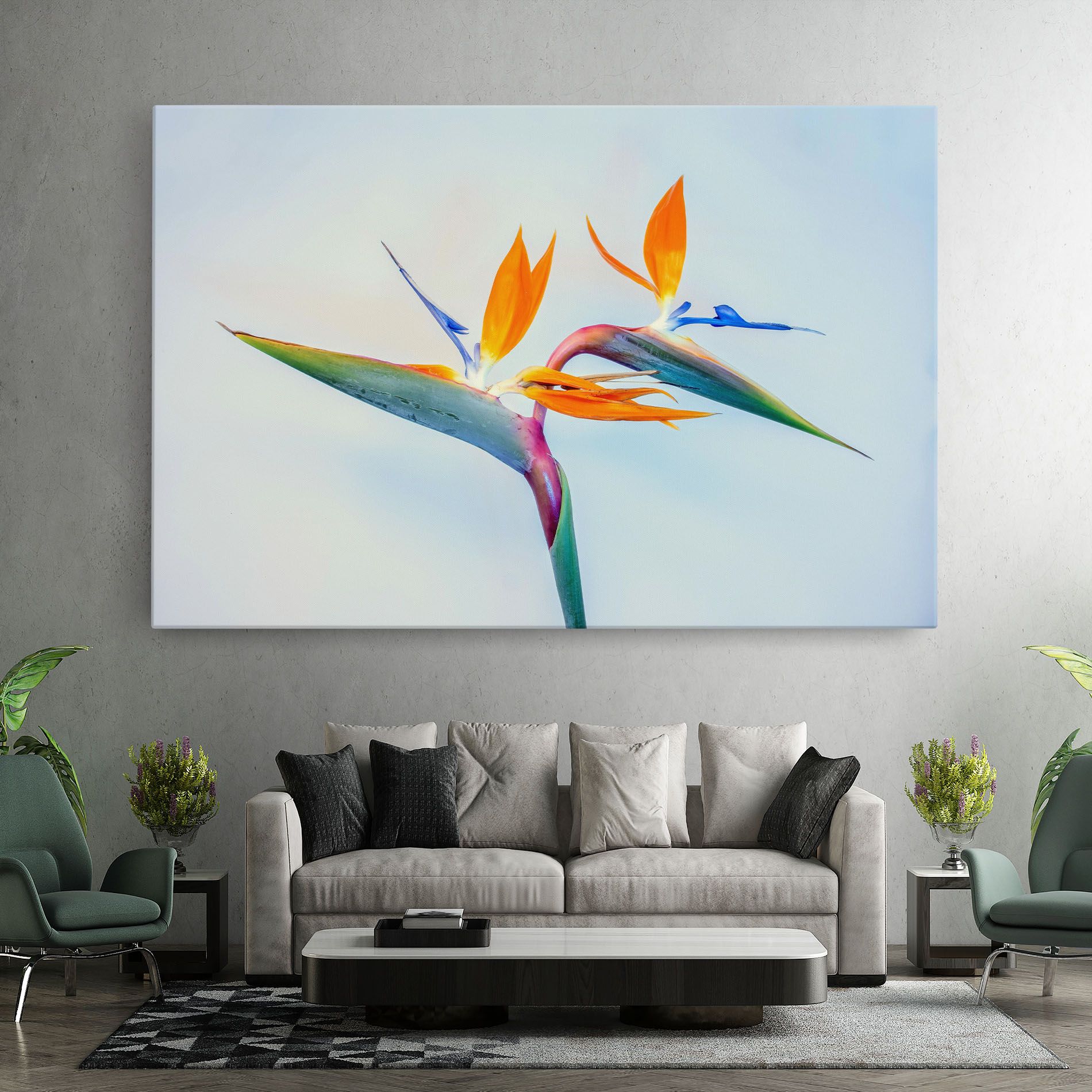 Green Orange Exotic mockup 7