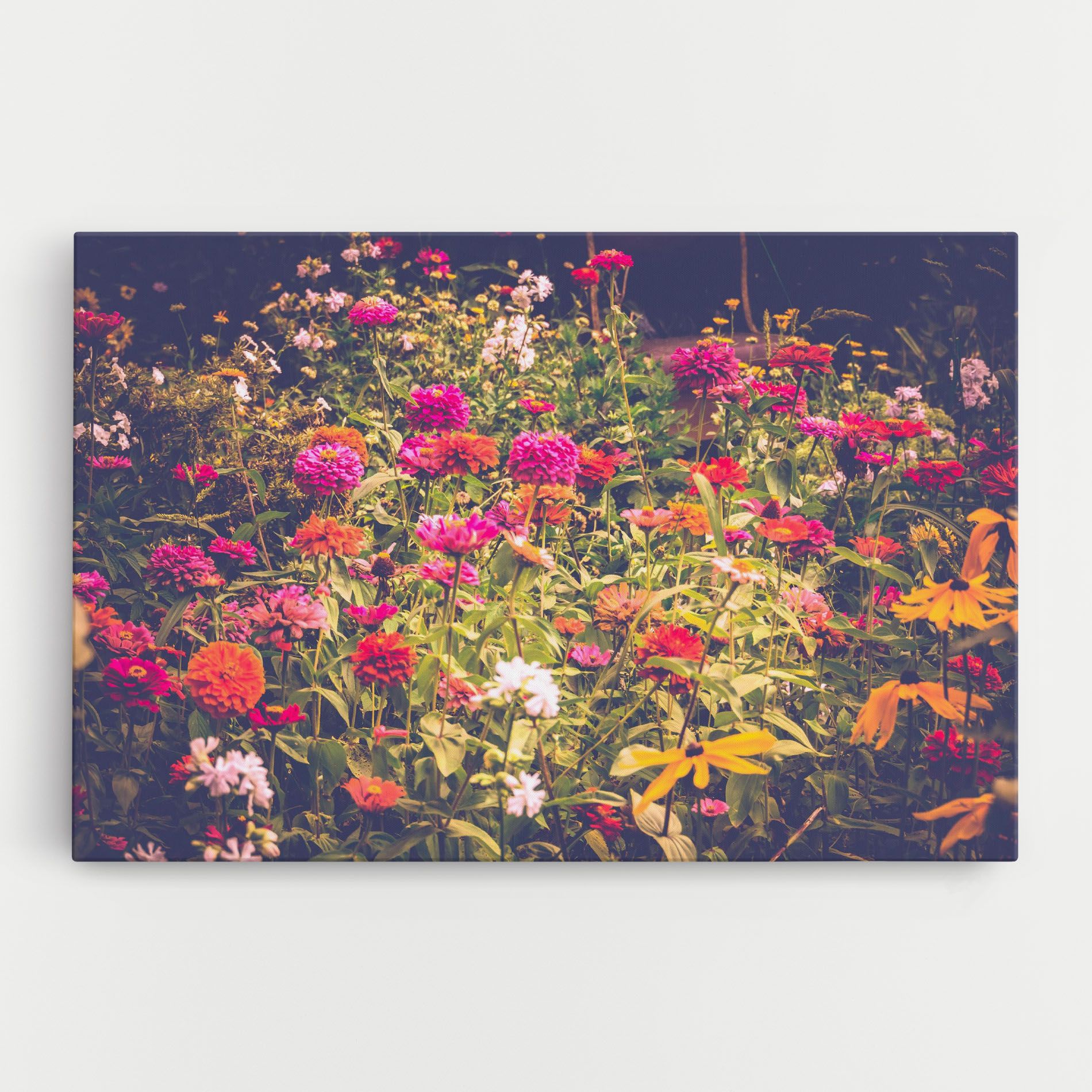 Colorful Wild Field mockup 0