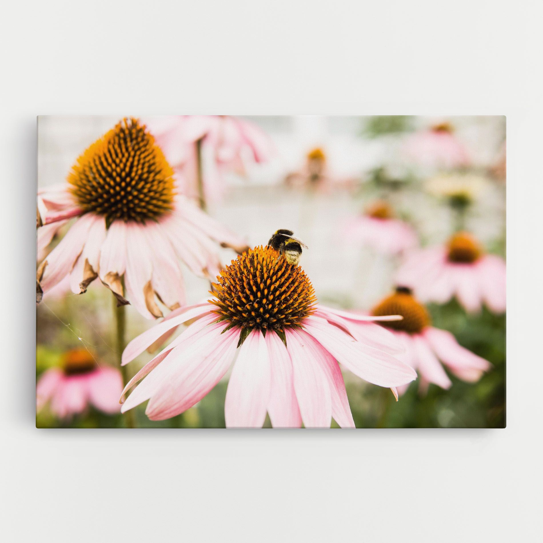 Daylight Flower mockup 0