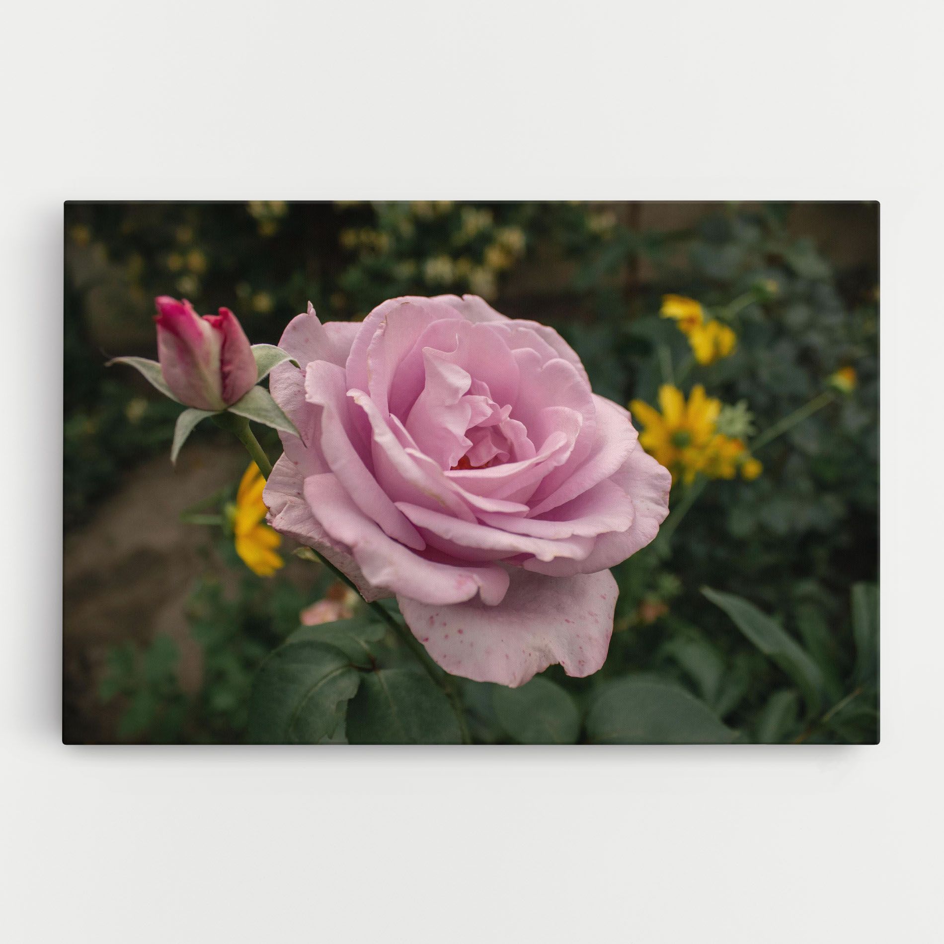 Garden Pink Rose mockup 0