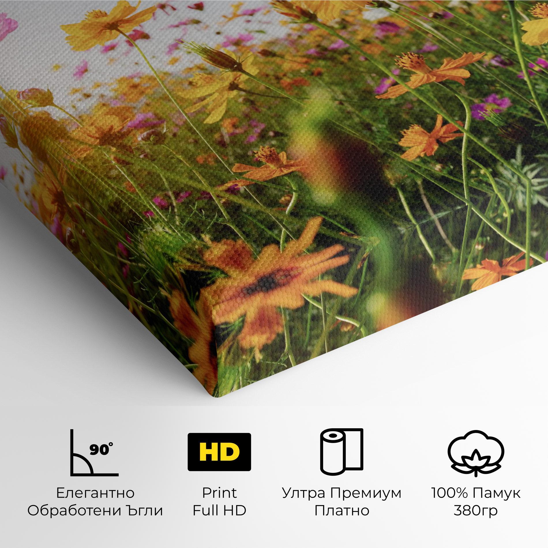 Картина на платно Cosmos Field Sunset mockup 4