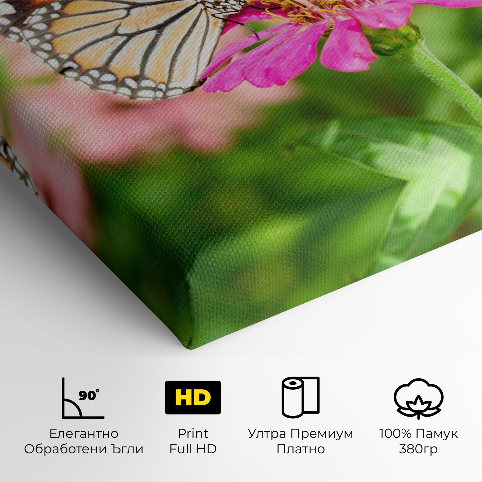 Daylight Butterfly mockup 4