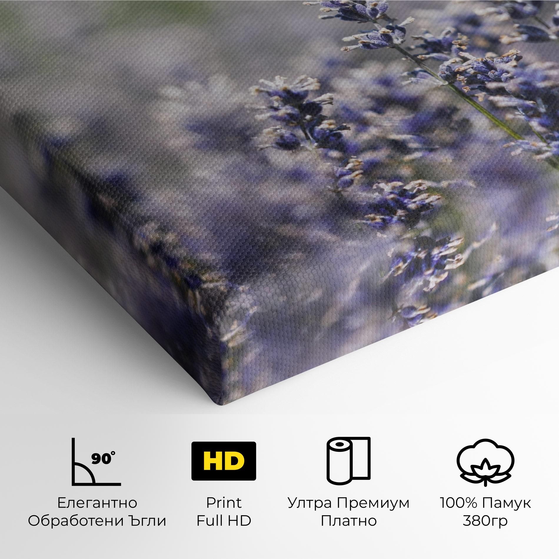 White Purple Wild mockup 4