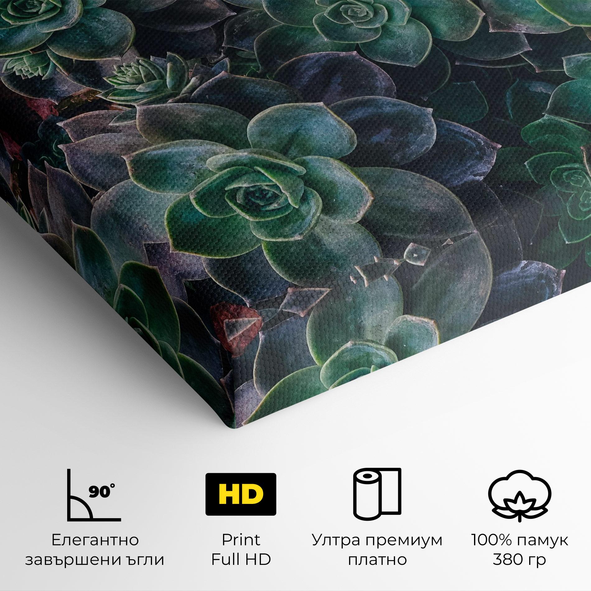 Картина на платно Green Lilac Tree mockup 4