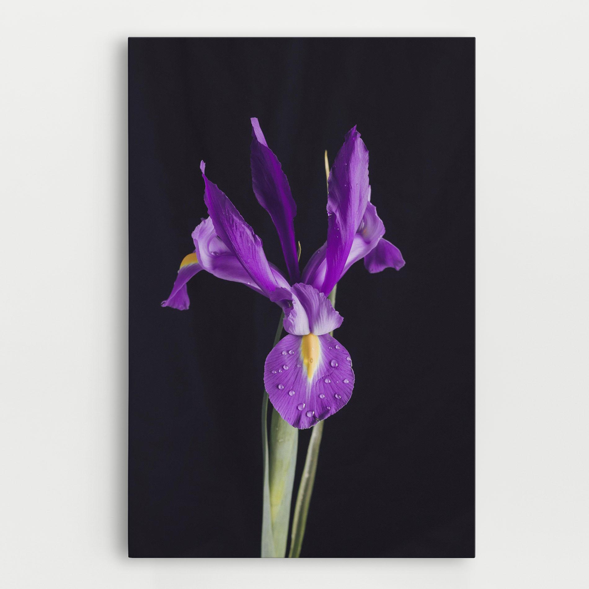 Картина на платно Fresh Purple Iris mockup 0