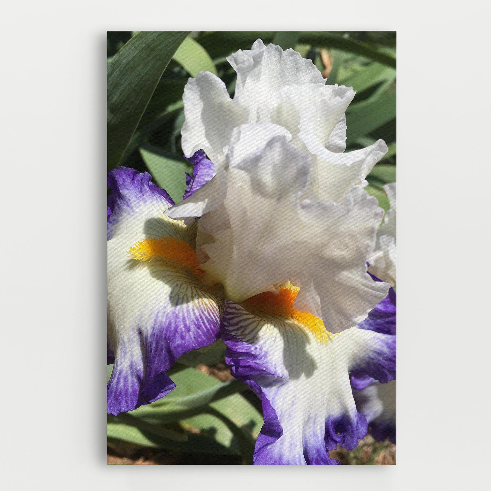Картина на платно Garden White Purple Irirs mockup 0