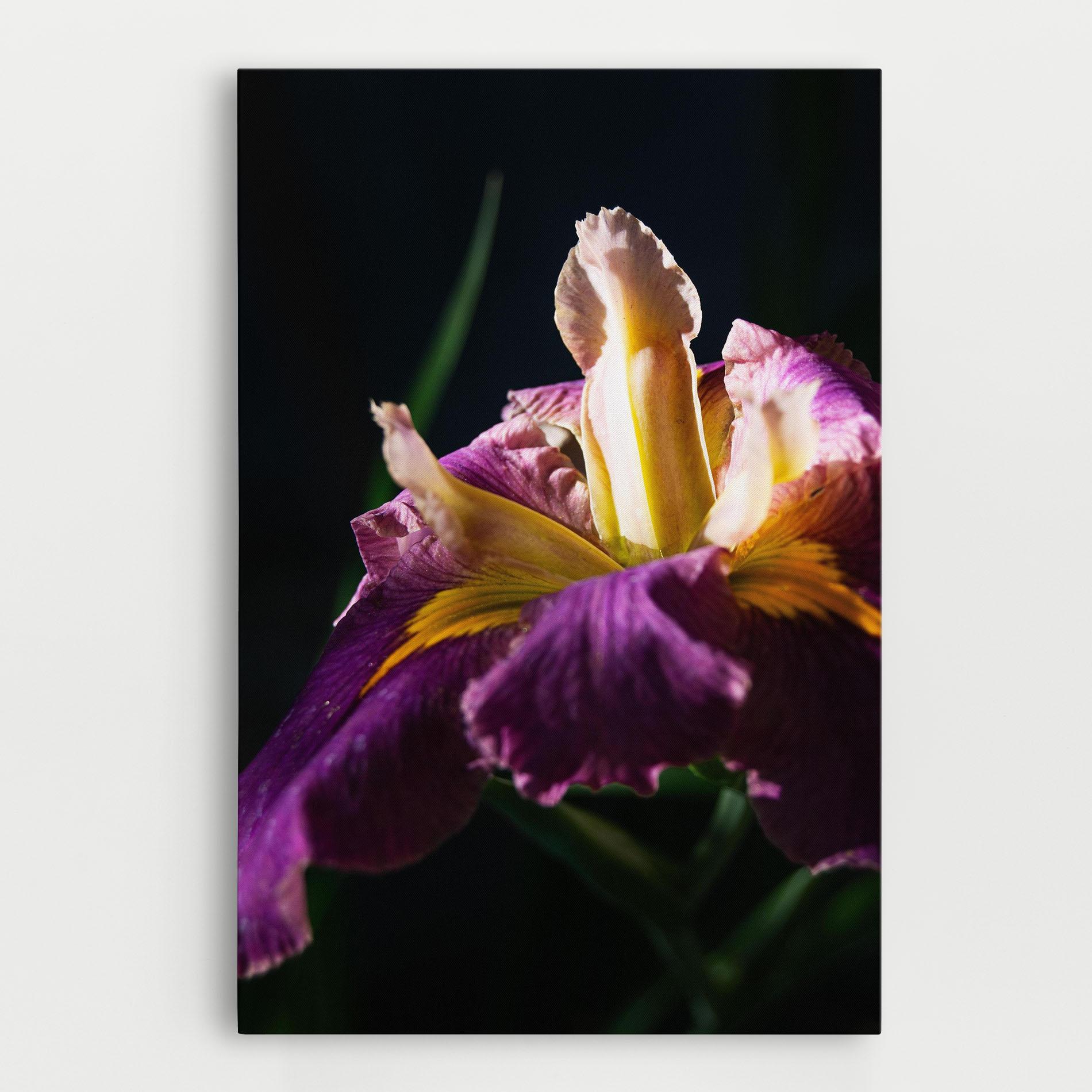 Картина на платно Pastel Yellow Iris mockup 0