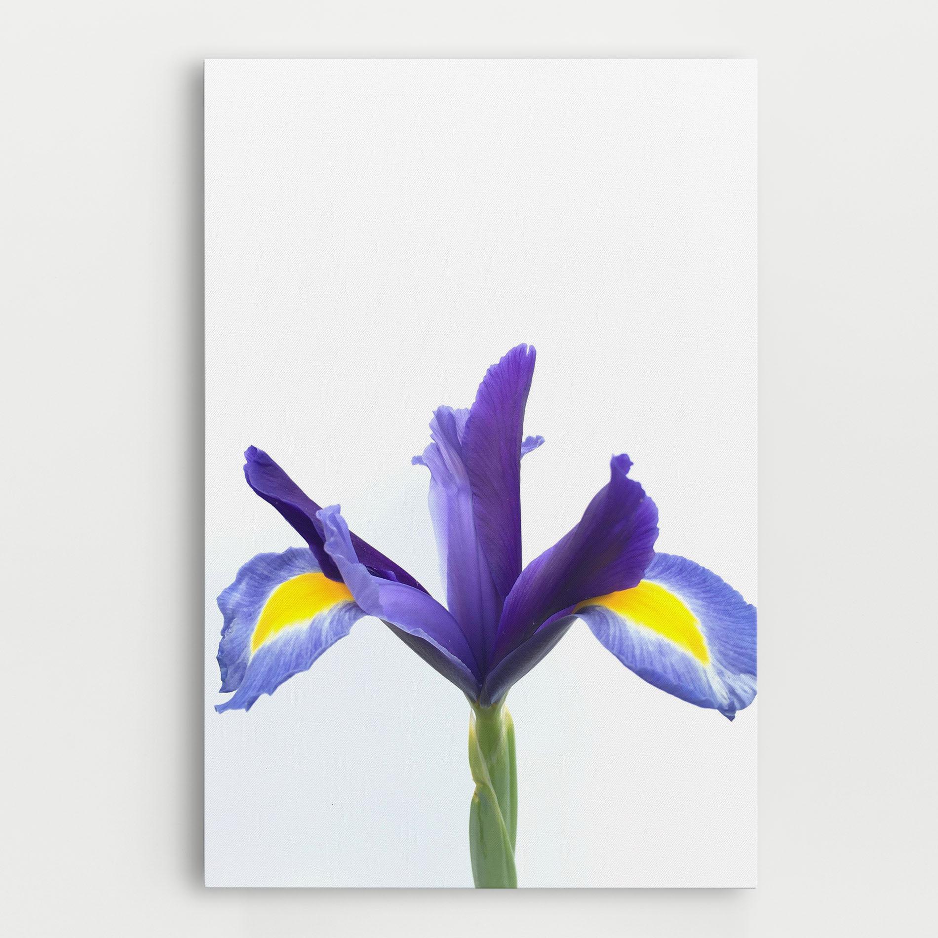 Картина на платно Yellow Color Iris mockup 0