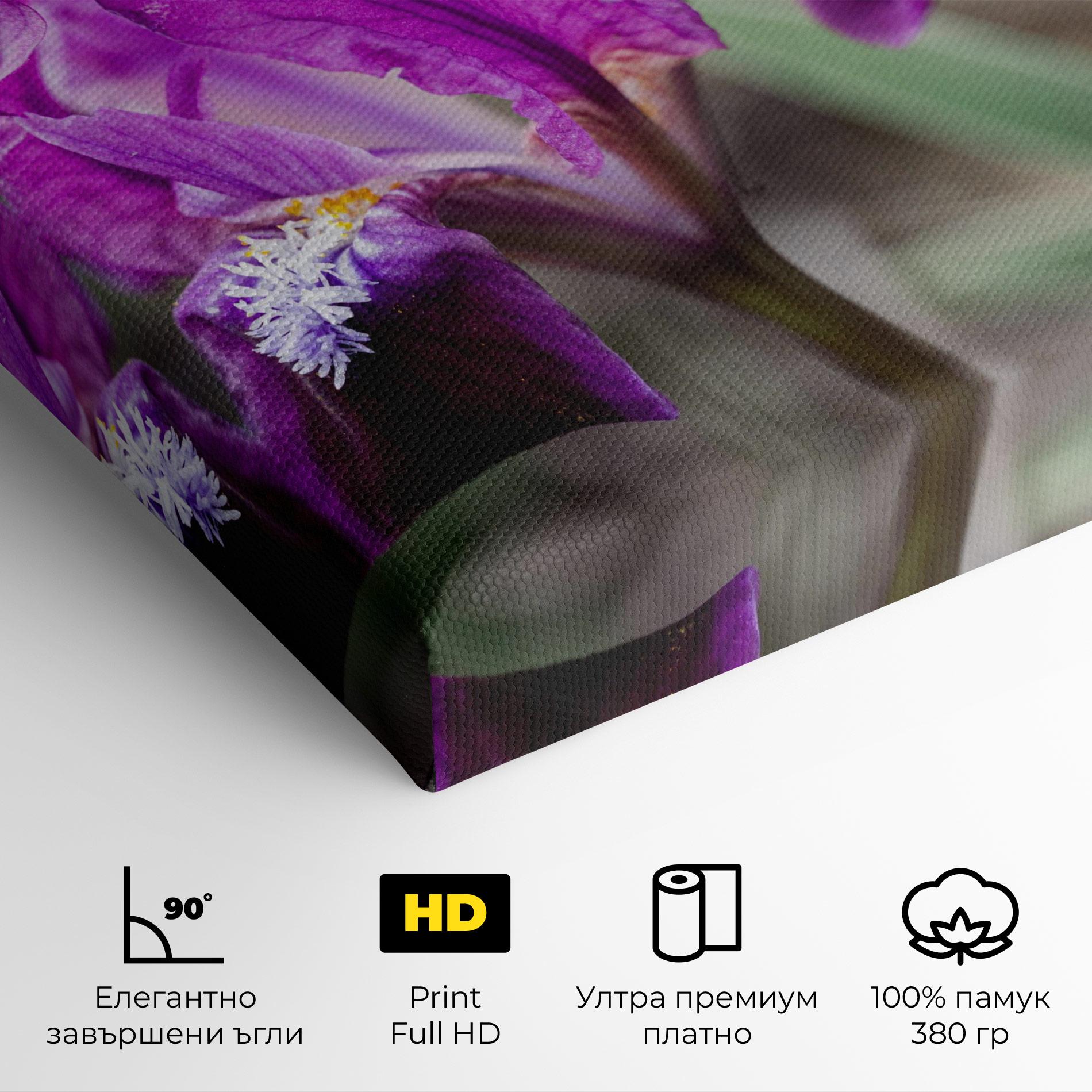 Картина на платно Dark Pink Iris mockup 4