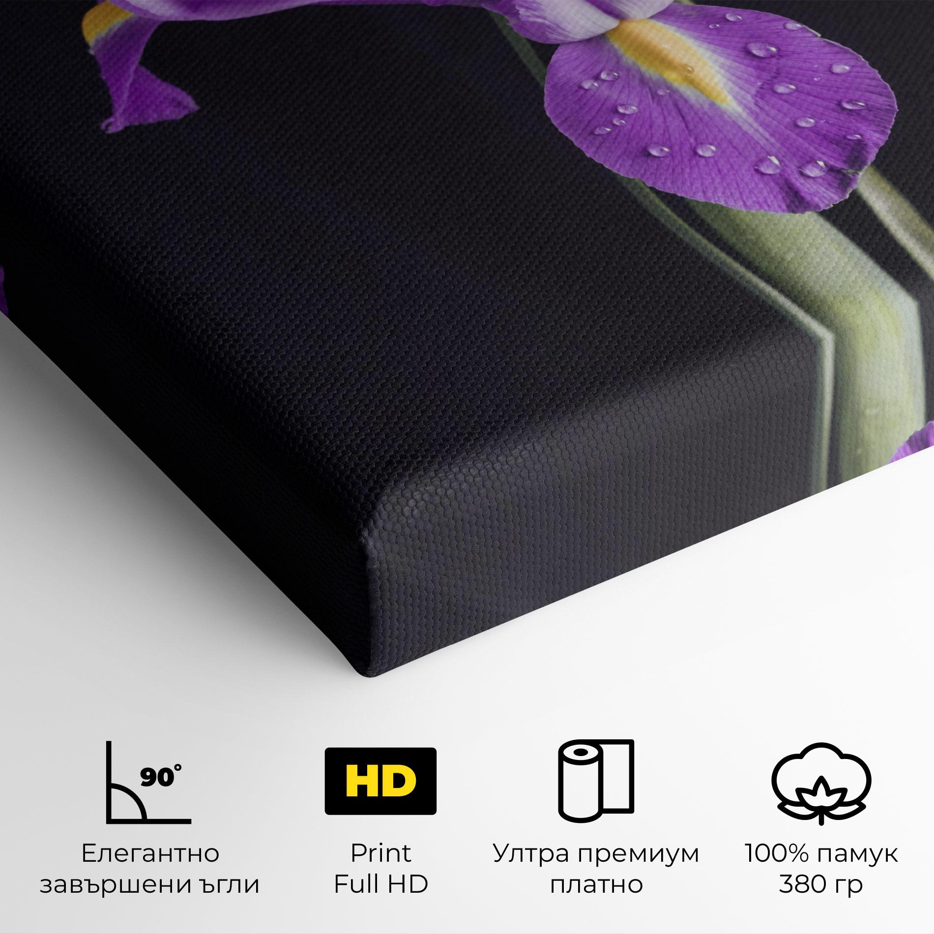Картина на платно Fresh Purple Iris mockup 4