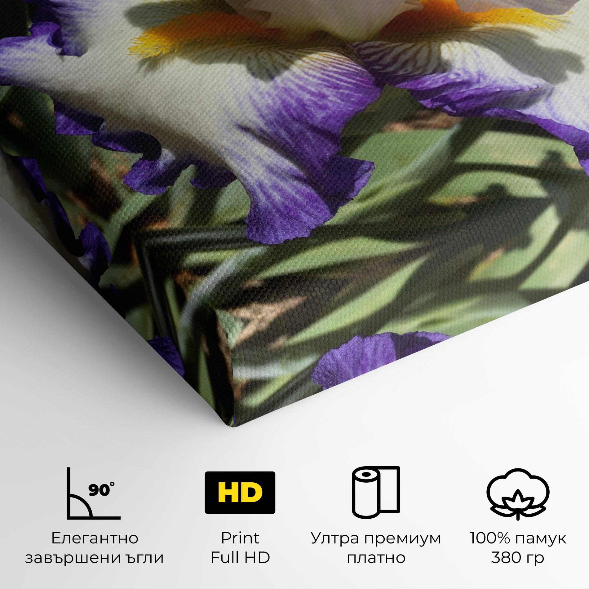 Картина на платно Garden White Purple Irirs mockup 4