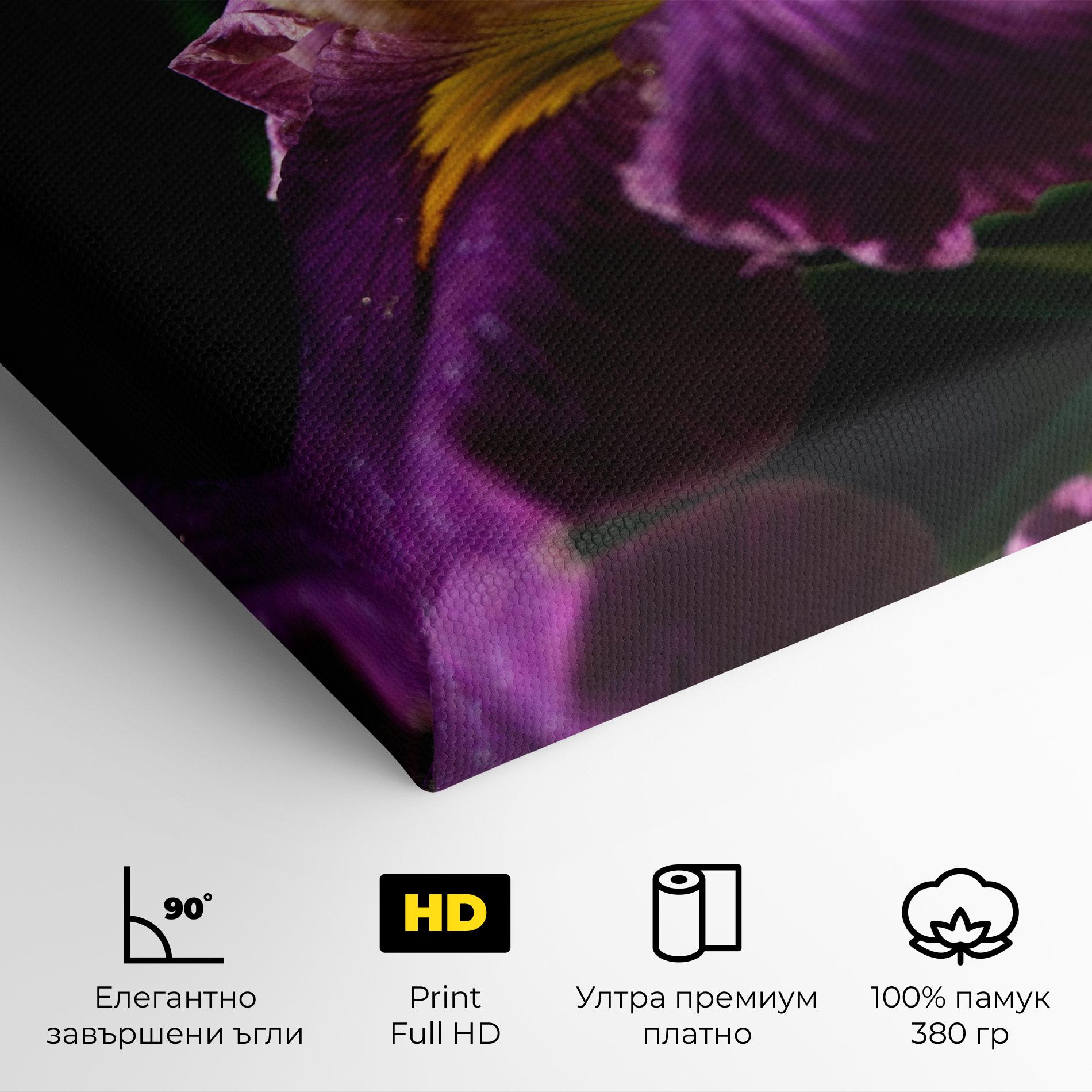 Картина на платно Pastel Yellow Iris mockup 4