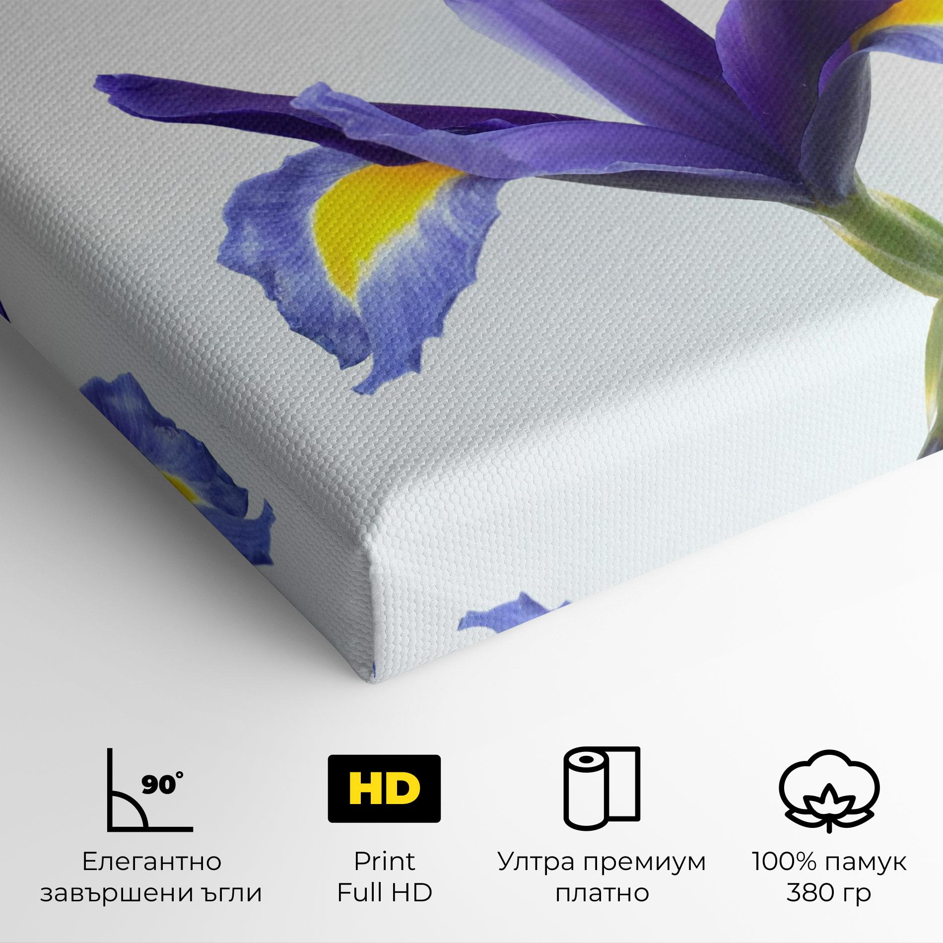 Картина на платно Yellow Color Iris mockup 4