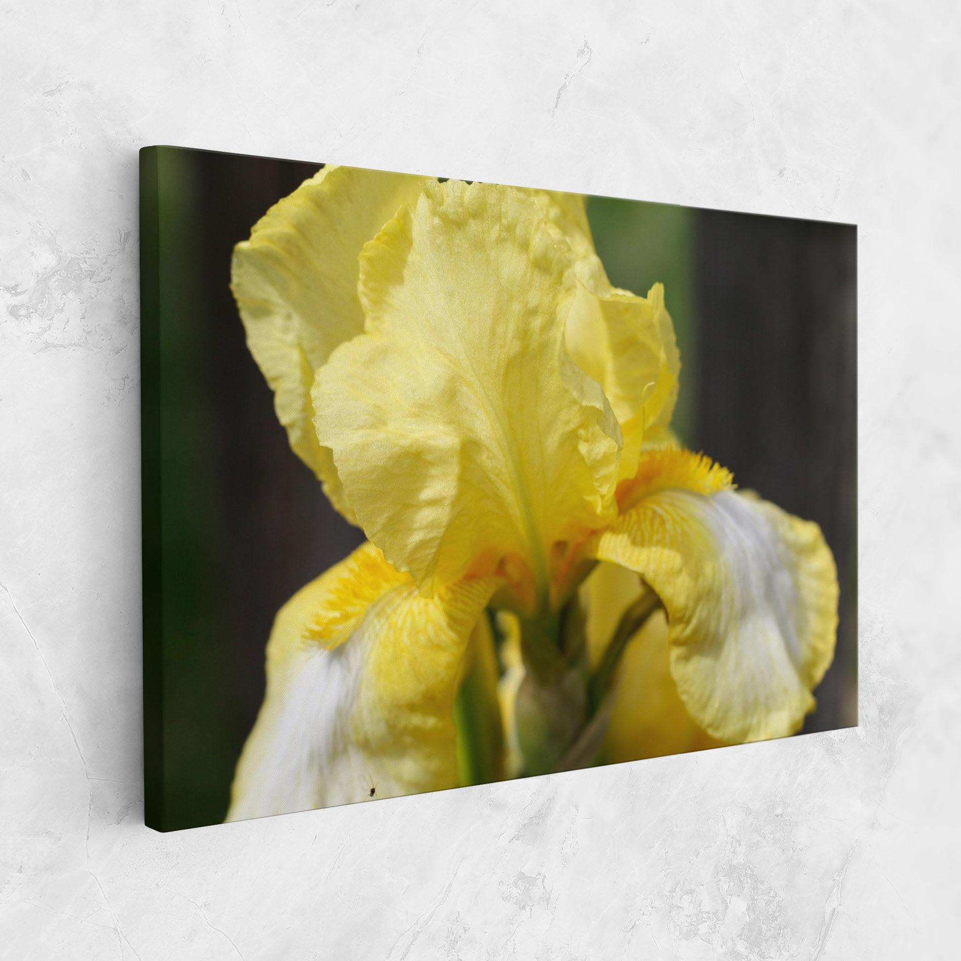 Картина на платно Garden Yellow Iris mockup 1