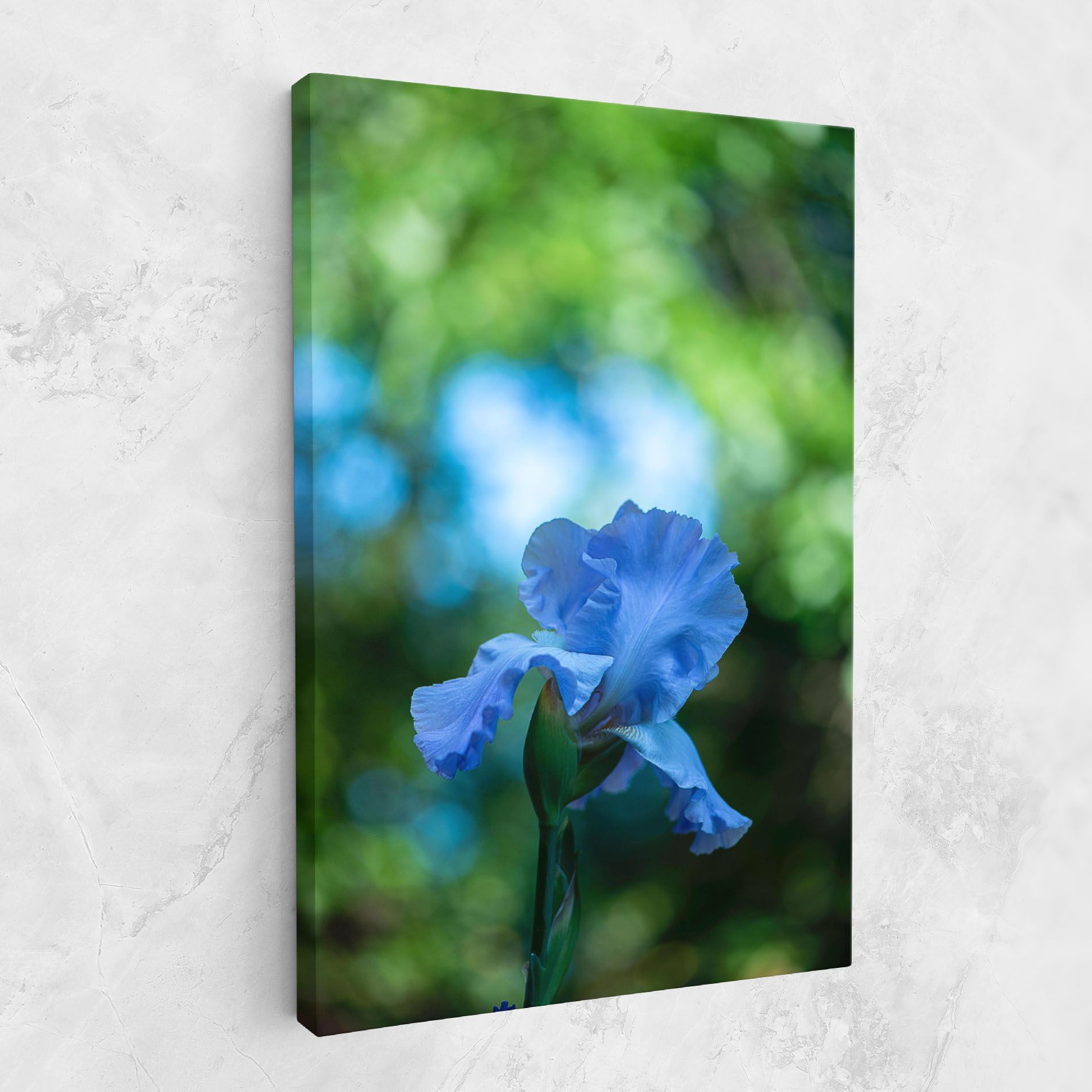 Blue Iris In The Garden mockup 1