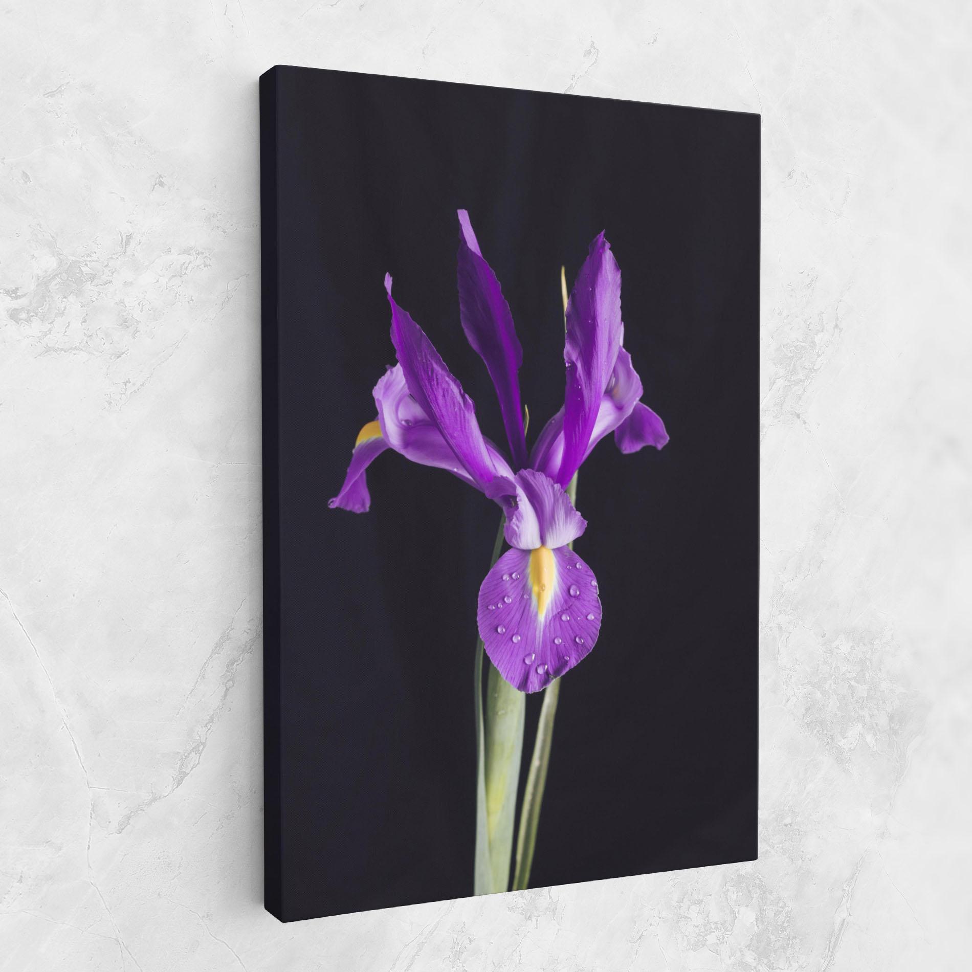 Картина на платно Fresh Purple Iris mockup 1
