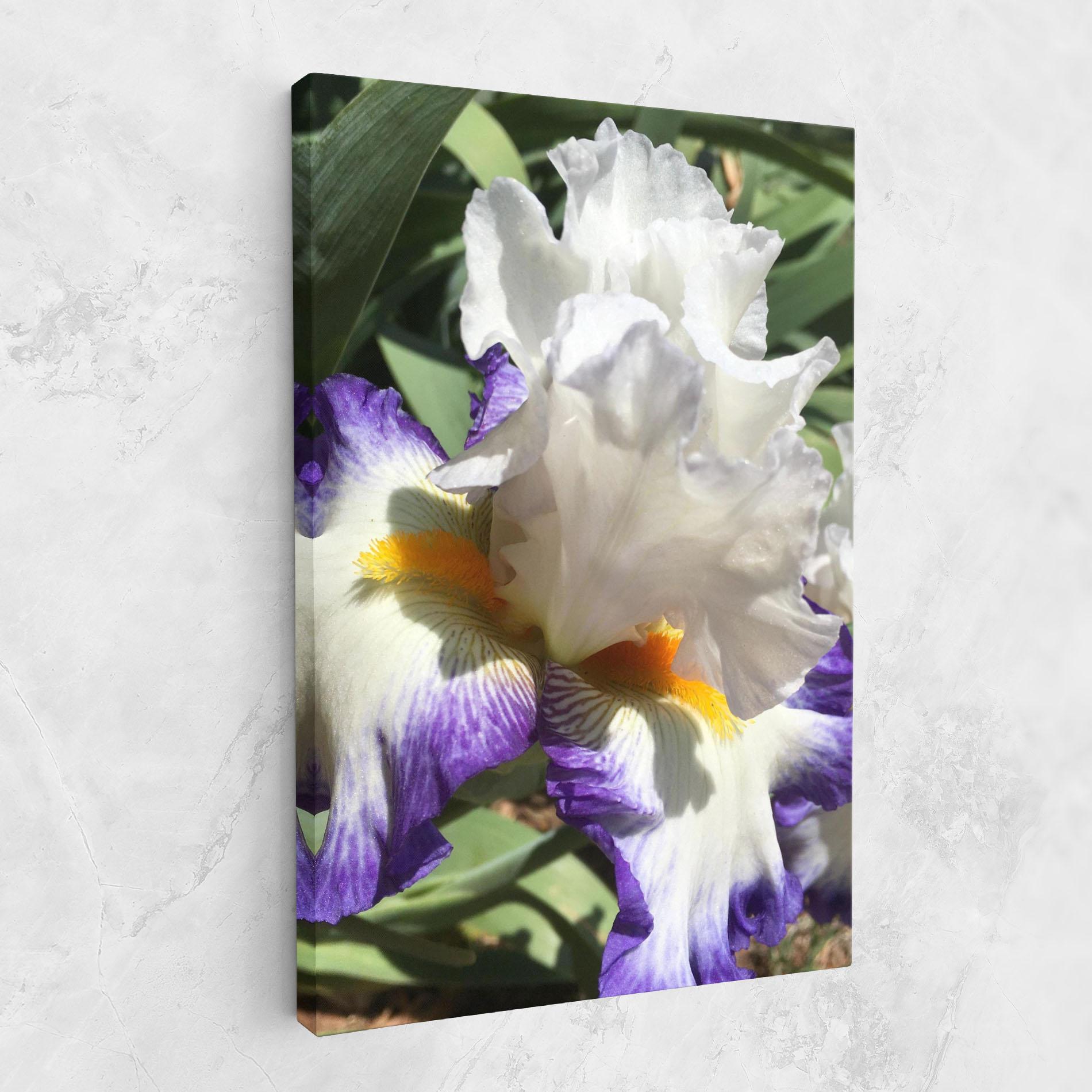 Картина на платно Garden White Purple Irirs mockup 1