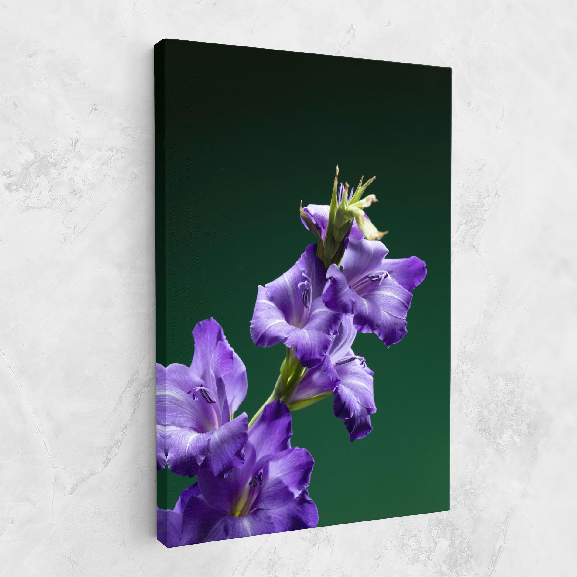 Iris On Green mockup 1